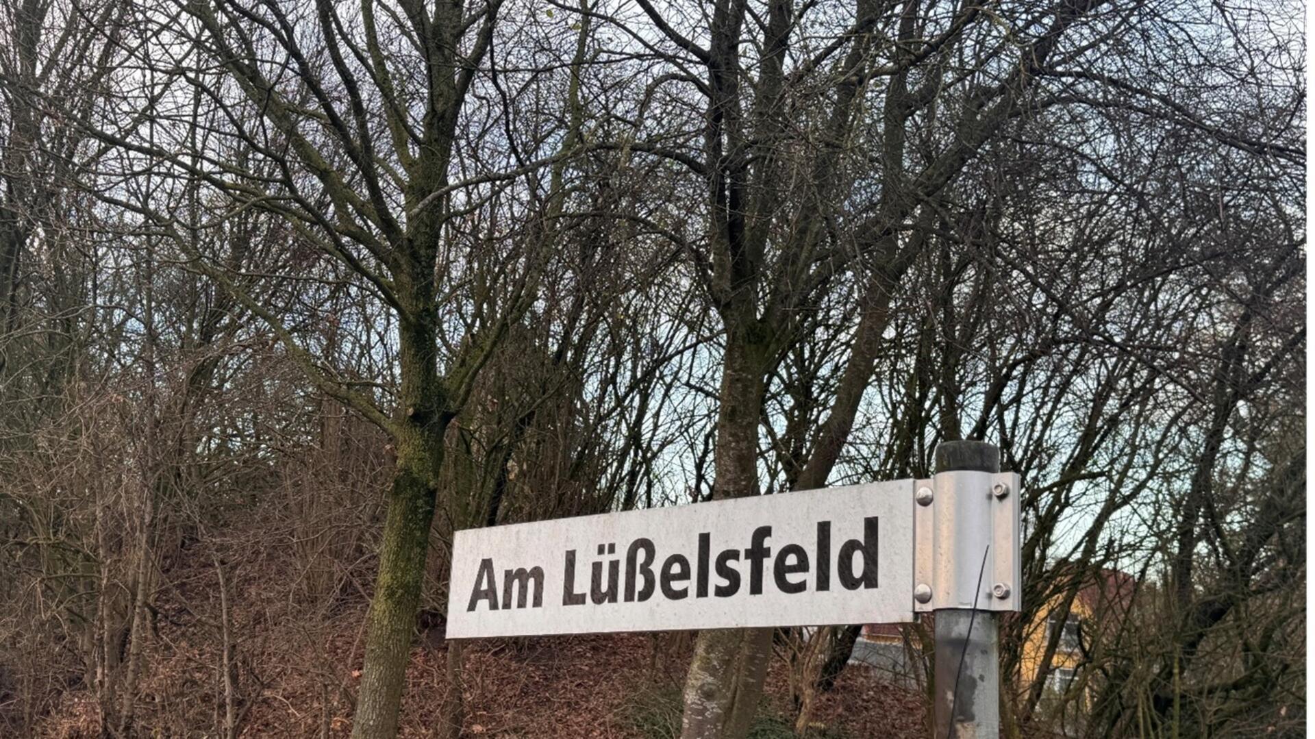 Das Straßenschild "Am Lüßelsfeld" vor Bäumen