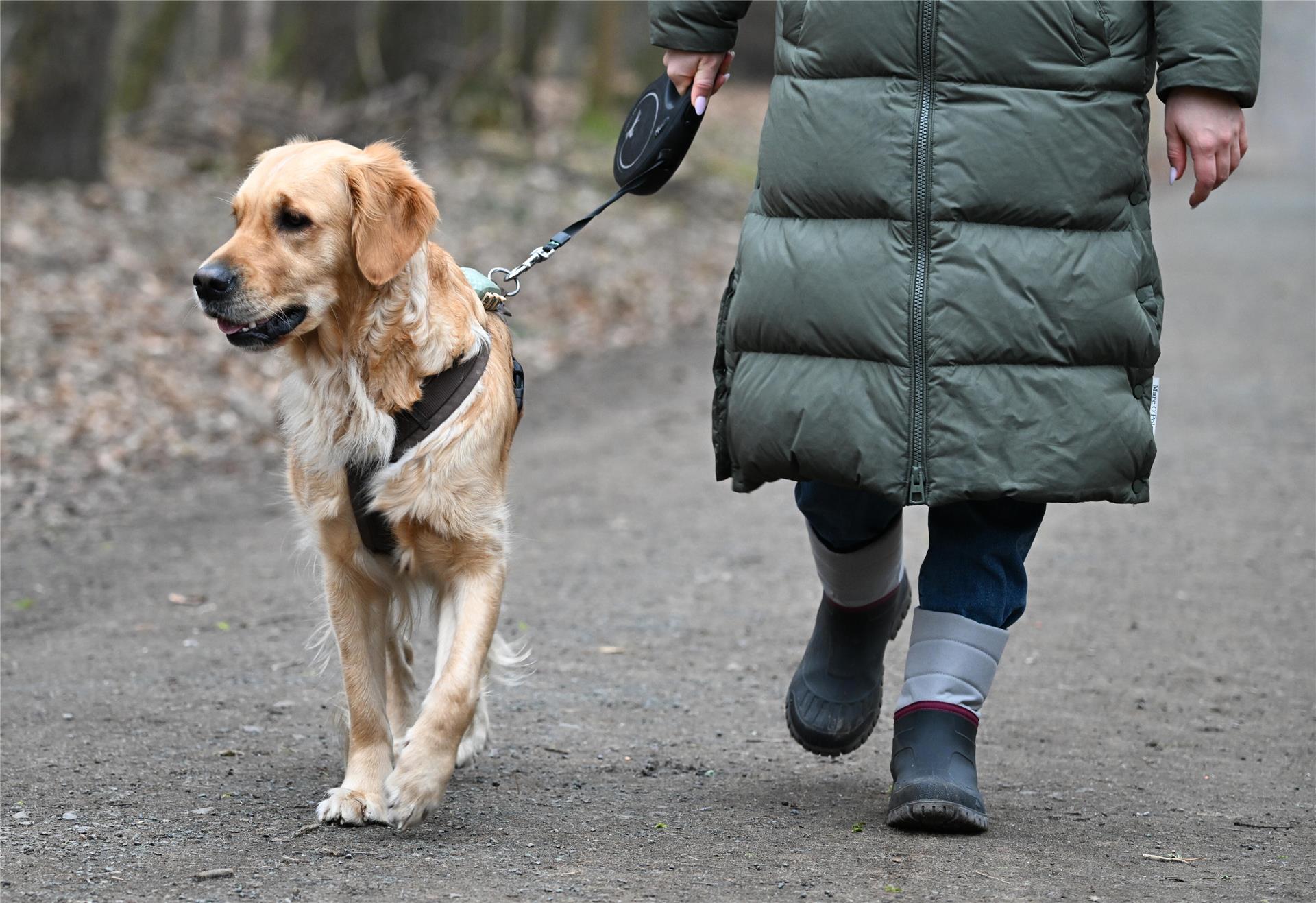 Hund Frau Spaziergang