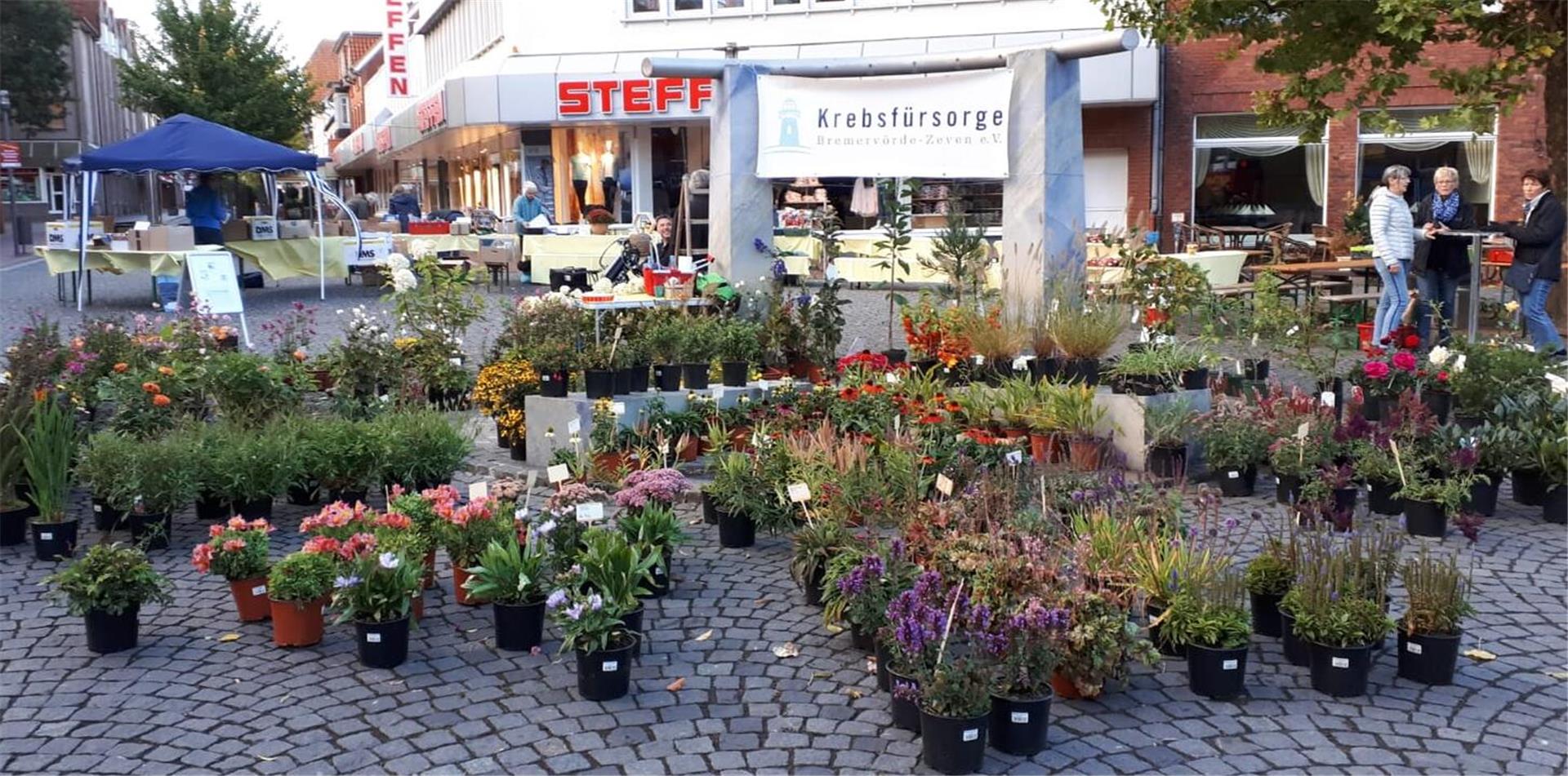 Der Staudenmarkt der Krebsfürsorge Bremervörde-Zeven am Gauß-Brunnen in Zeven.