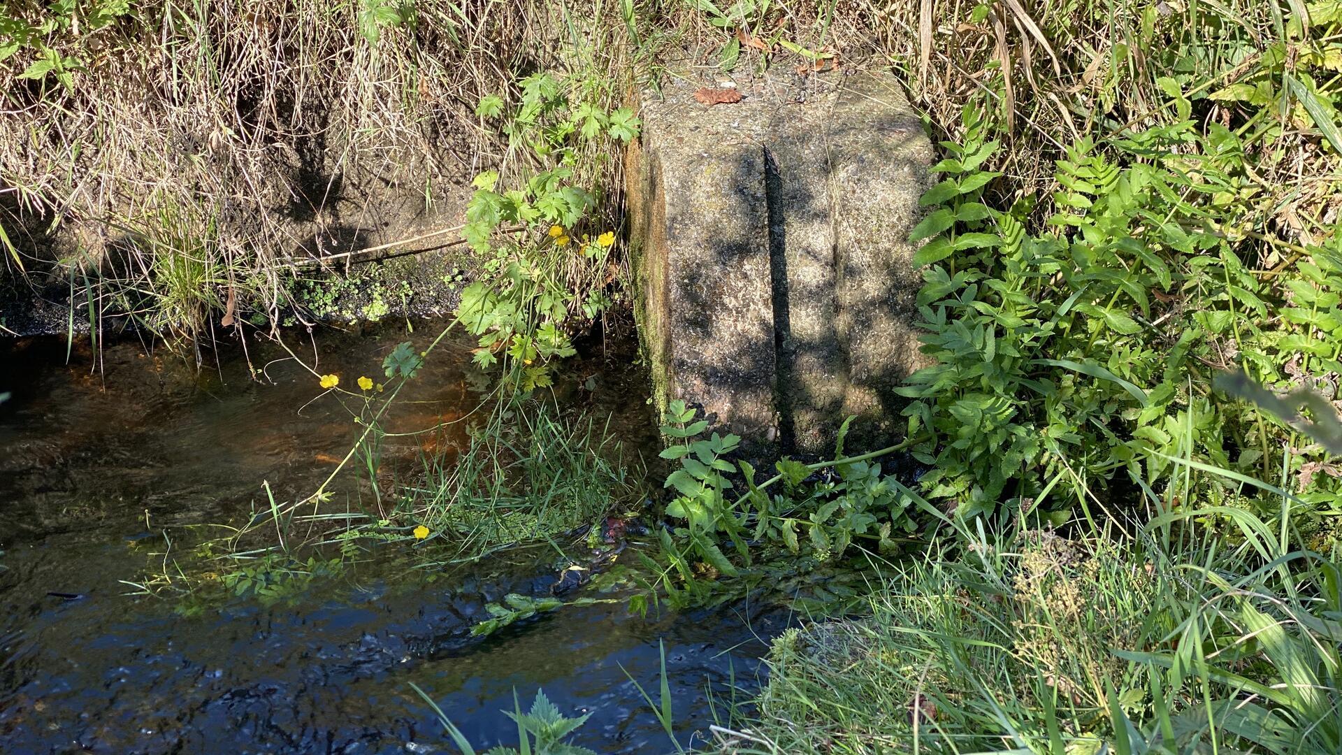 Der ehemaliger Stau in der Tüschendorfer Wasserlöse