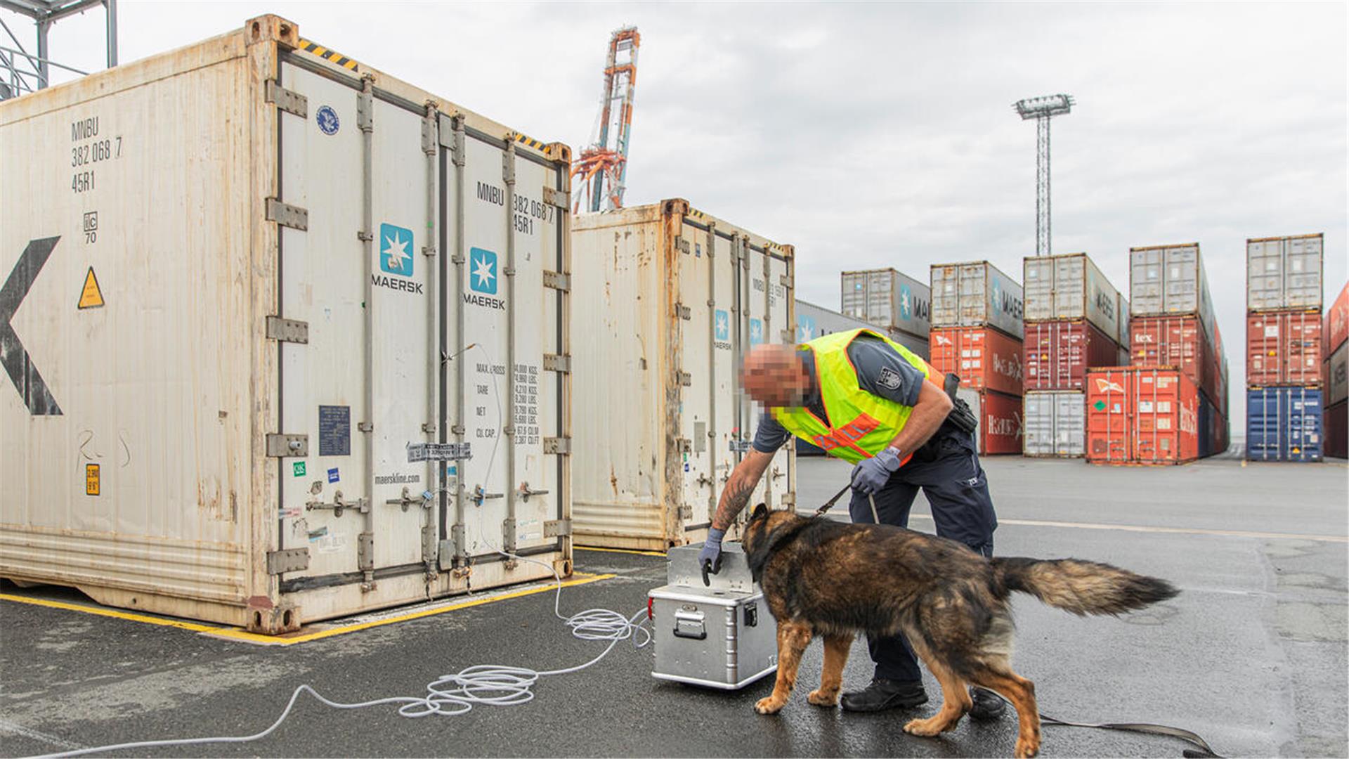 Der erfahrene Spürhund Bary erkennt auch feinste Spuren von Betäubungsmitteln in der Luftprobe.