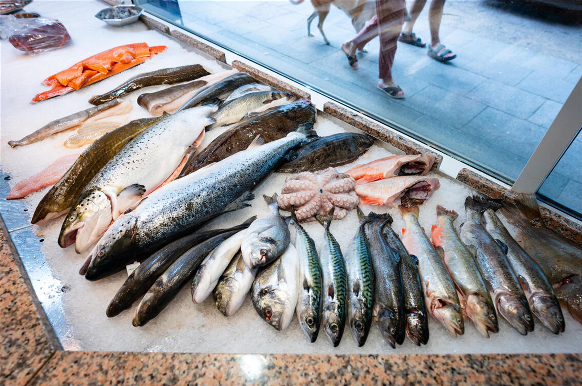  Verschiedene Fische werden in der Auslage eines Fischgeschäfts zum Kauf angeboten. Der gesamte in Deutschland produzierte Fisch ist bereits am 8. März aufgebraucht. Ohne Importe wären die Regale leer, warnt der BUND Elbe-Weser.