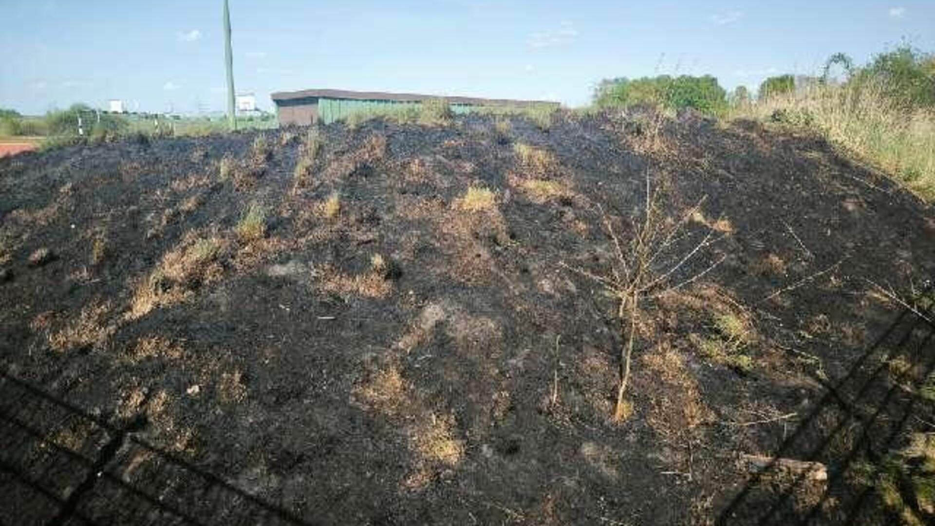 Der vom Brand betroffene Erdwall am Sportplatz des Gymnasiums in Sottrum.