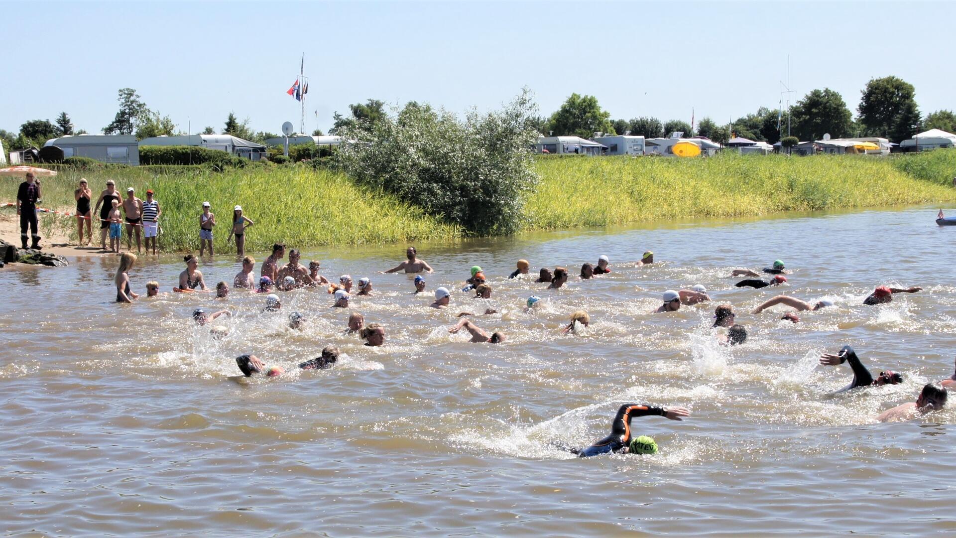 Menschen schwimmen in einem Fluss.  Die 14. Ausgabe des Hermann-Allmers-Schwimmen findet Anfang Juli statt. Anmeldungen sind noch bis zum 26. Juni möglich. 