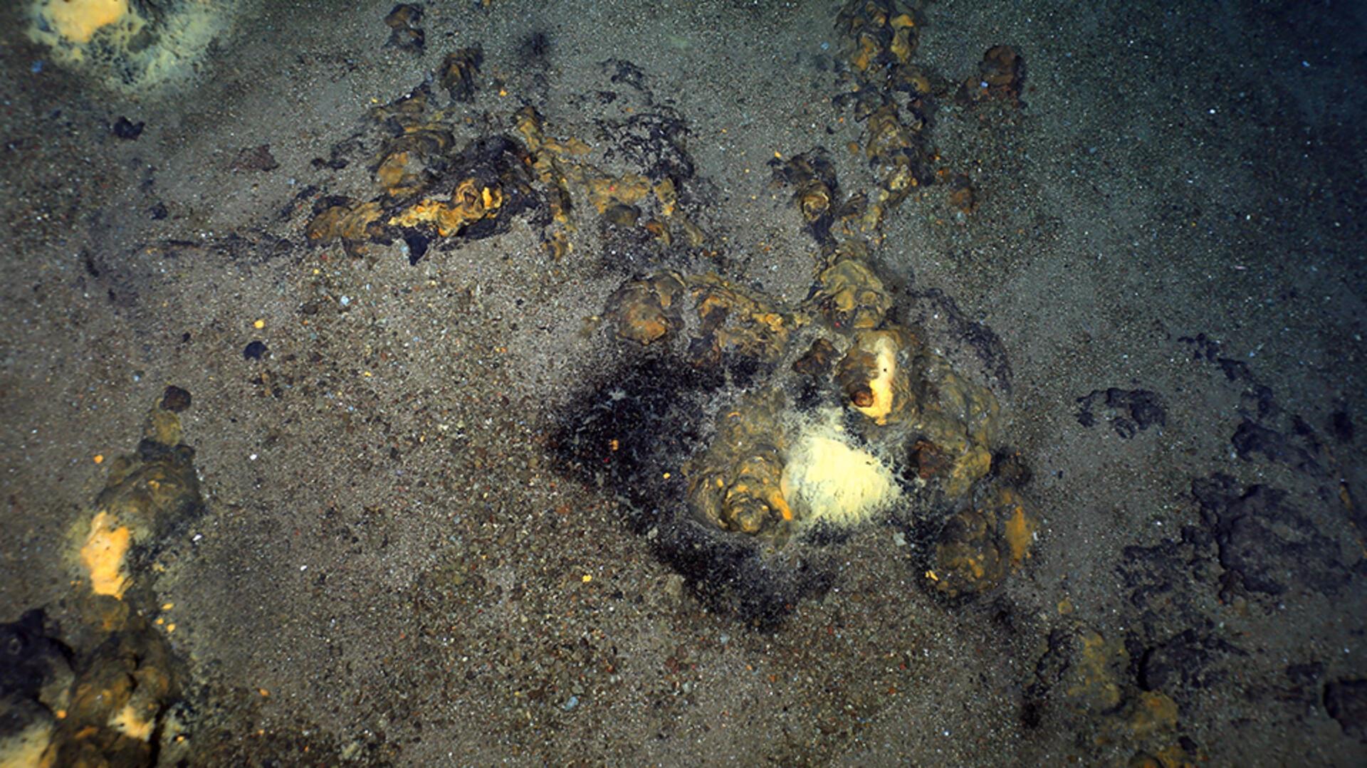 Ozeanboden mit Verfärbungen in Gelbtönen.