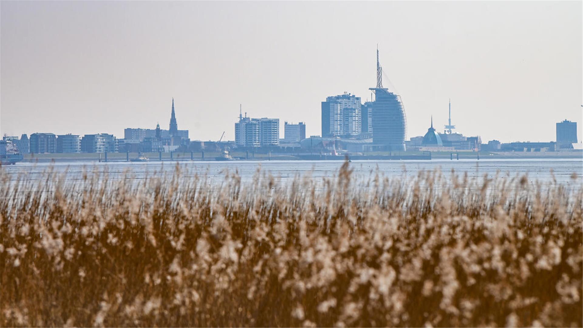 Blick auf Bremerhaven mit Küstengras im Vordergrund