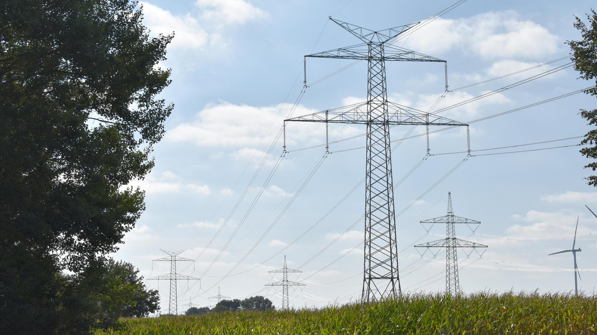 Strommasten auf einem Feld.