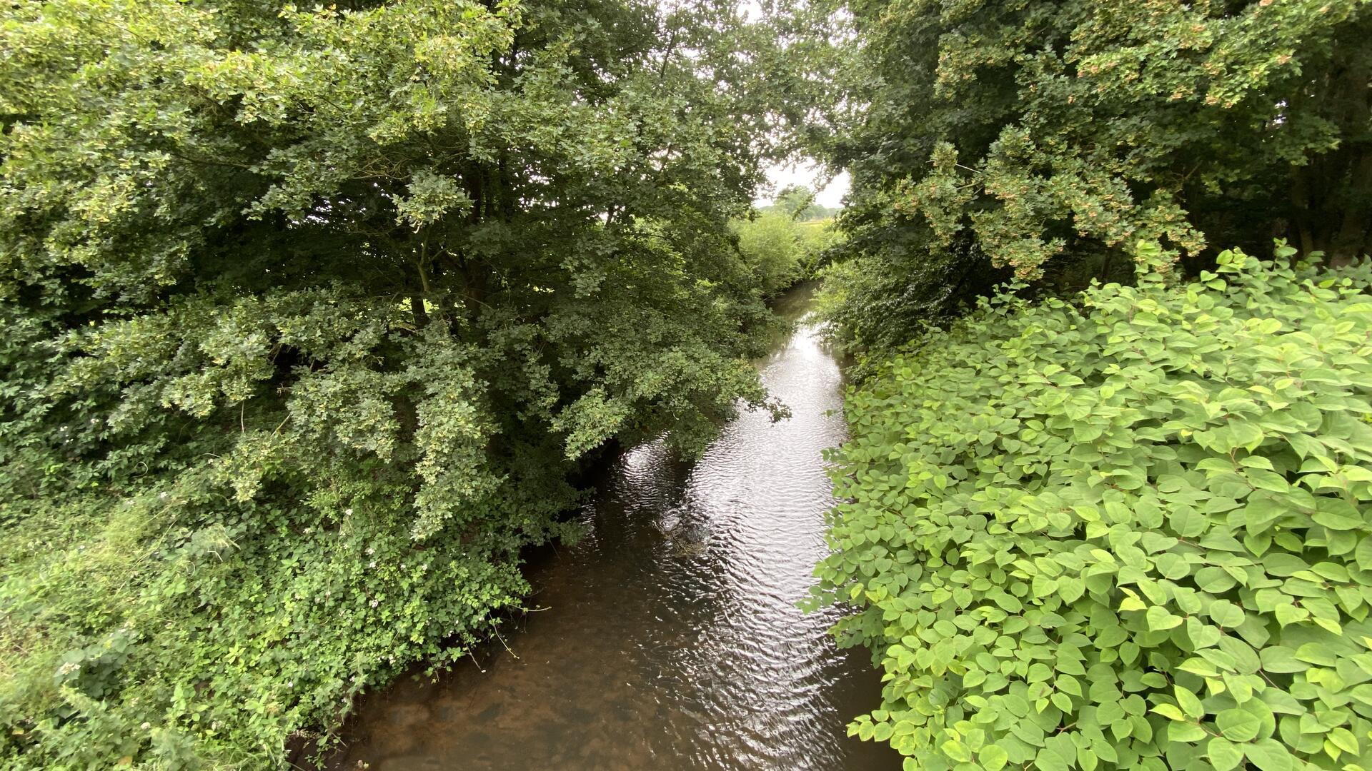 Die Lune: Die verzweigte Geschichte eines Flusses  Die Lune, ein Nebenfluss der Weser bei Beverstedt.