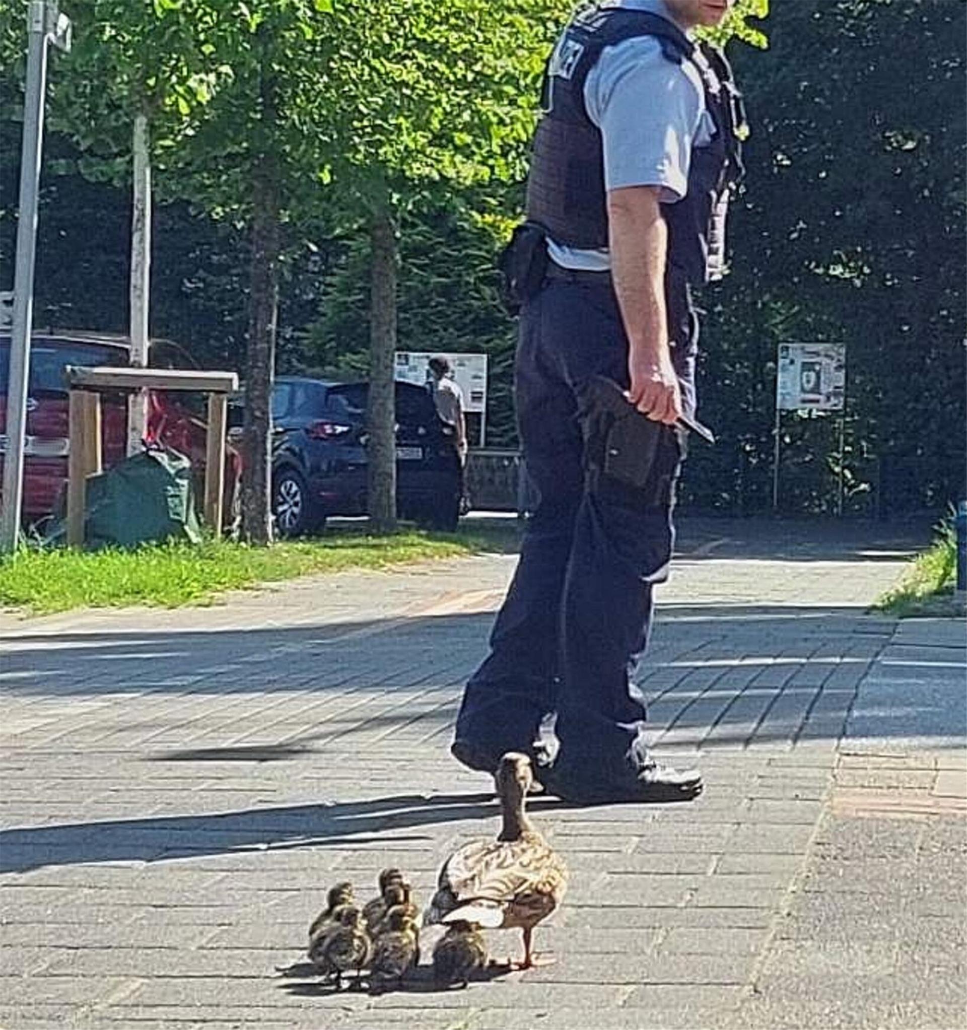 Ein Polizist läuft vor einer Entenfamilie