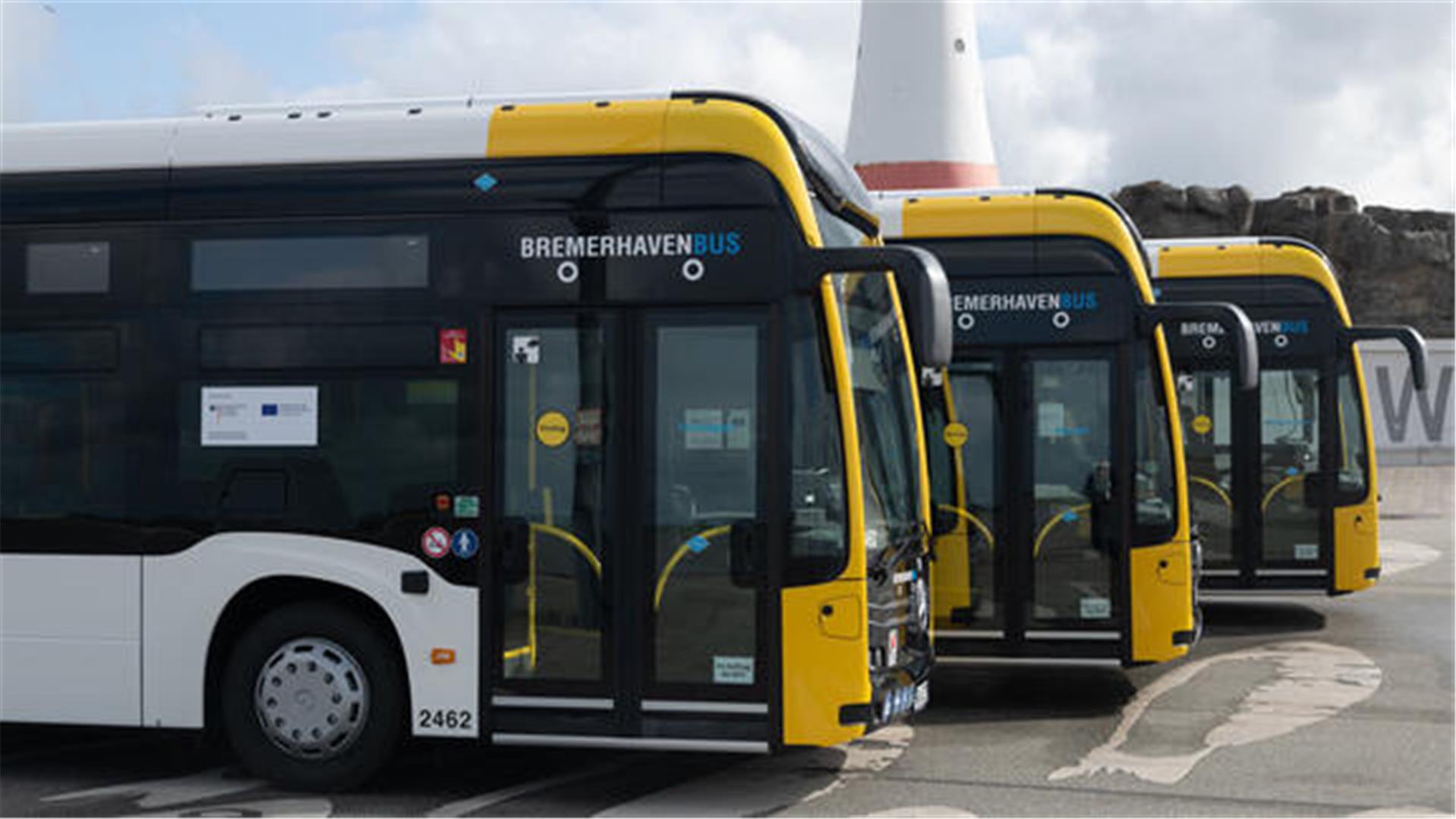 Drei moderne Gelenkbusse von BREMERHAVEN BUS mit Wasserstoffantrieb stehen nebeneinander auf einem Platz, im Hintergrund ist ein Leuchtturm zu sehen.