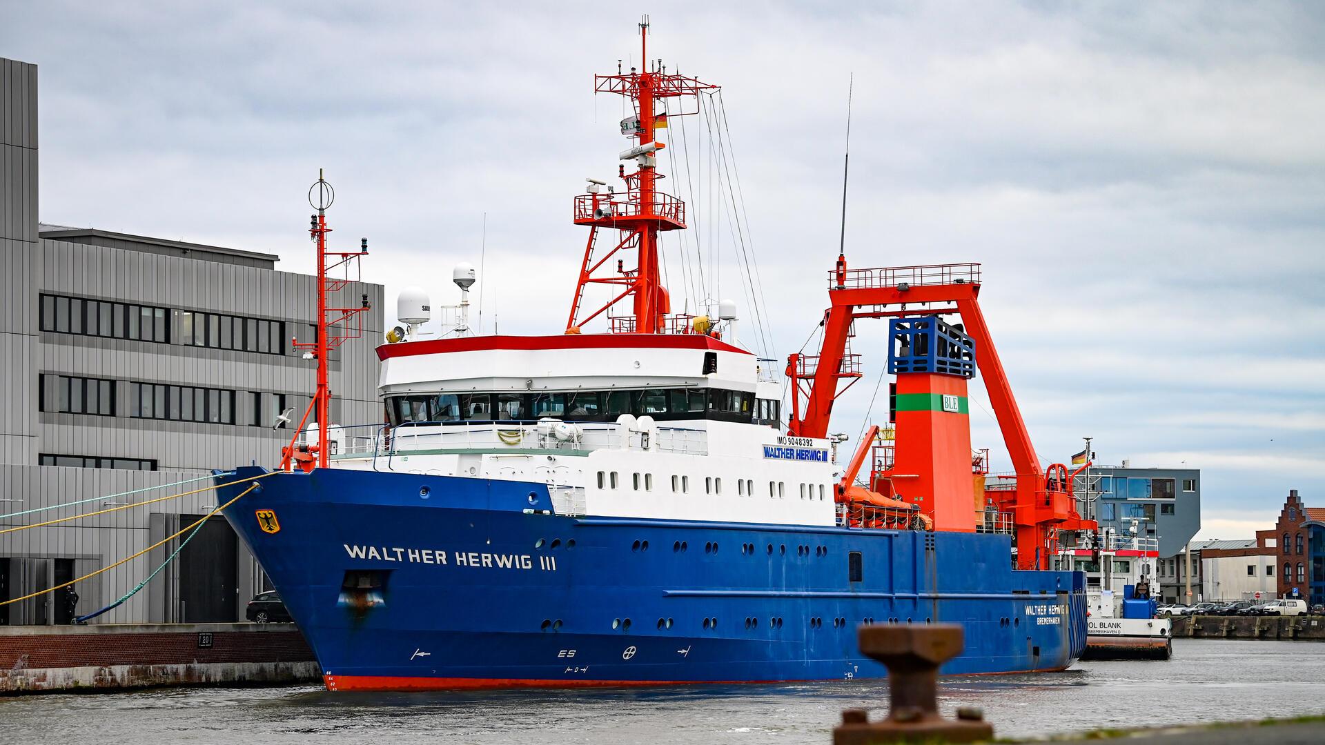 Walther Herwig III, Fischereiforschungsschiff