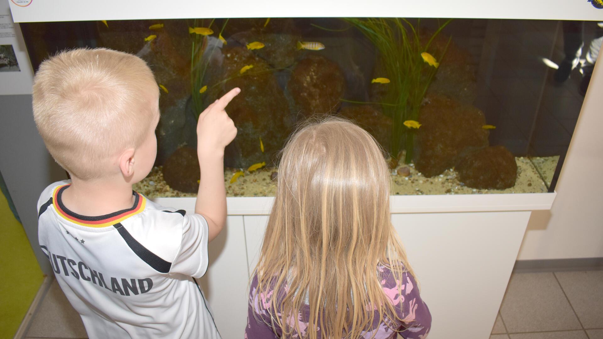 Zwei Kinder stehen vor einem Aquarium.