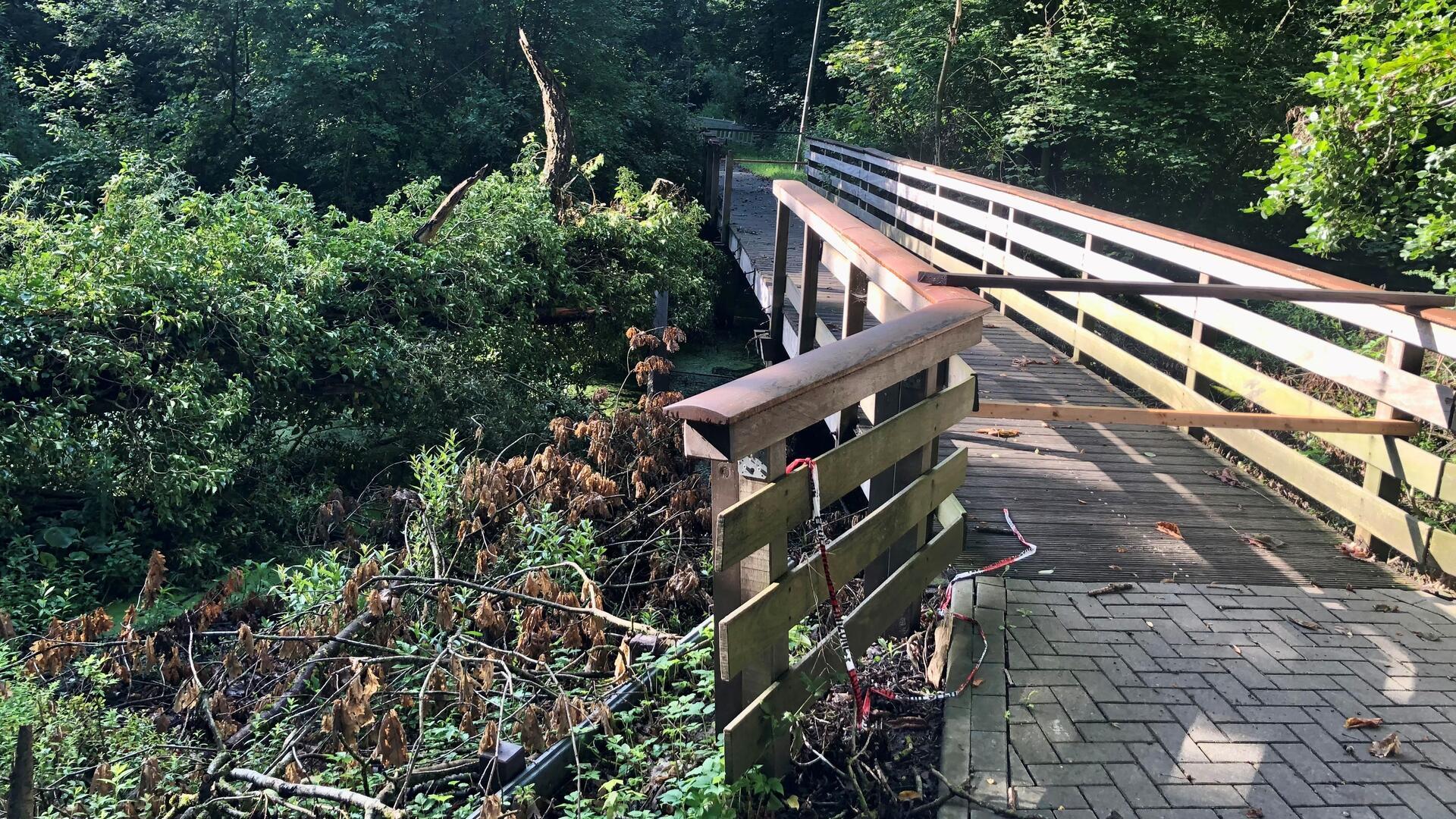 Die kleine Fußgänger- und Fahrradbrücke im Auepark wurde vor gut fünf Wochen von einer umgestürzten Weide beschädigt und ist seitdem gesperrt. Die Statik ist intakt, aber das Geländer muss erneuert werden. 