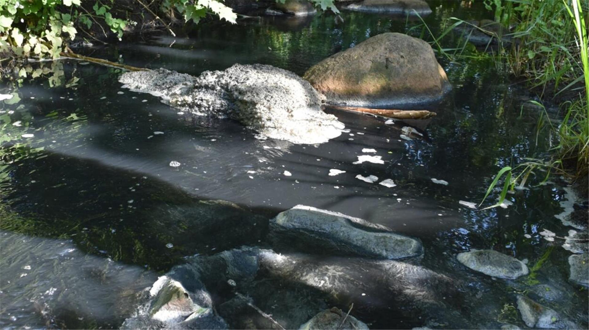 Ein Fluss: Die silber-grauen Ablagerungen, das trübe Wasser und der Schaum sorgen im Umgehungsgerinne des Auesees für eine Geruchsbelästigung. Das Umweltschutzamt ist auf der Suche nach der Ursache.