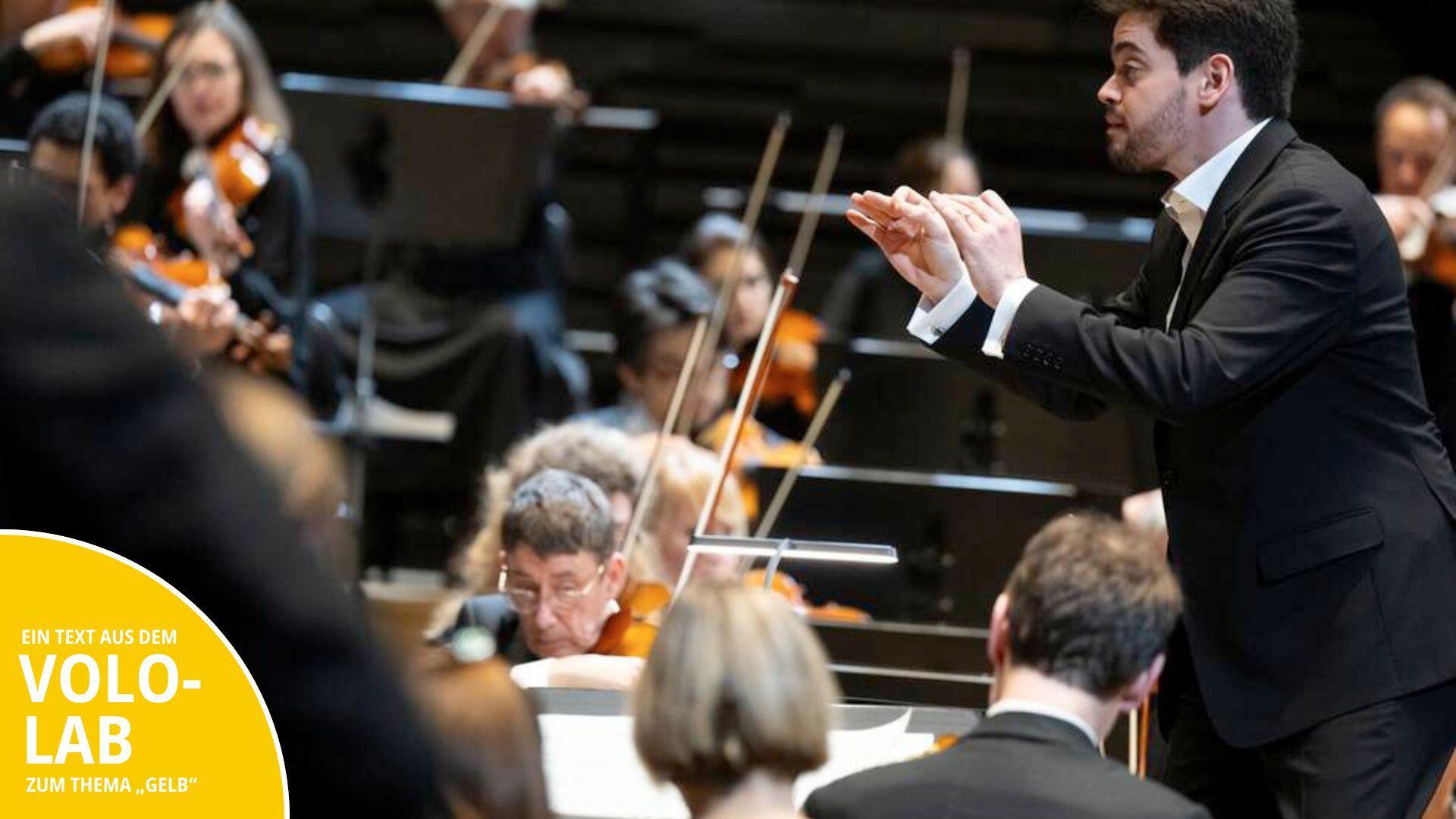 Ein Orchester mit Dirigenten spielt vor Publikum.