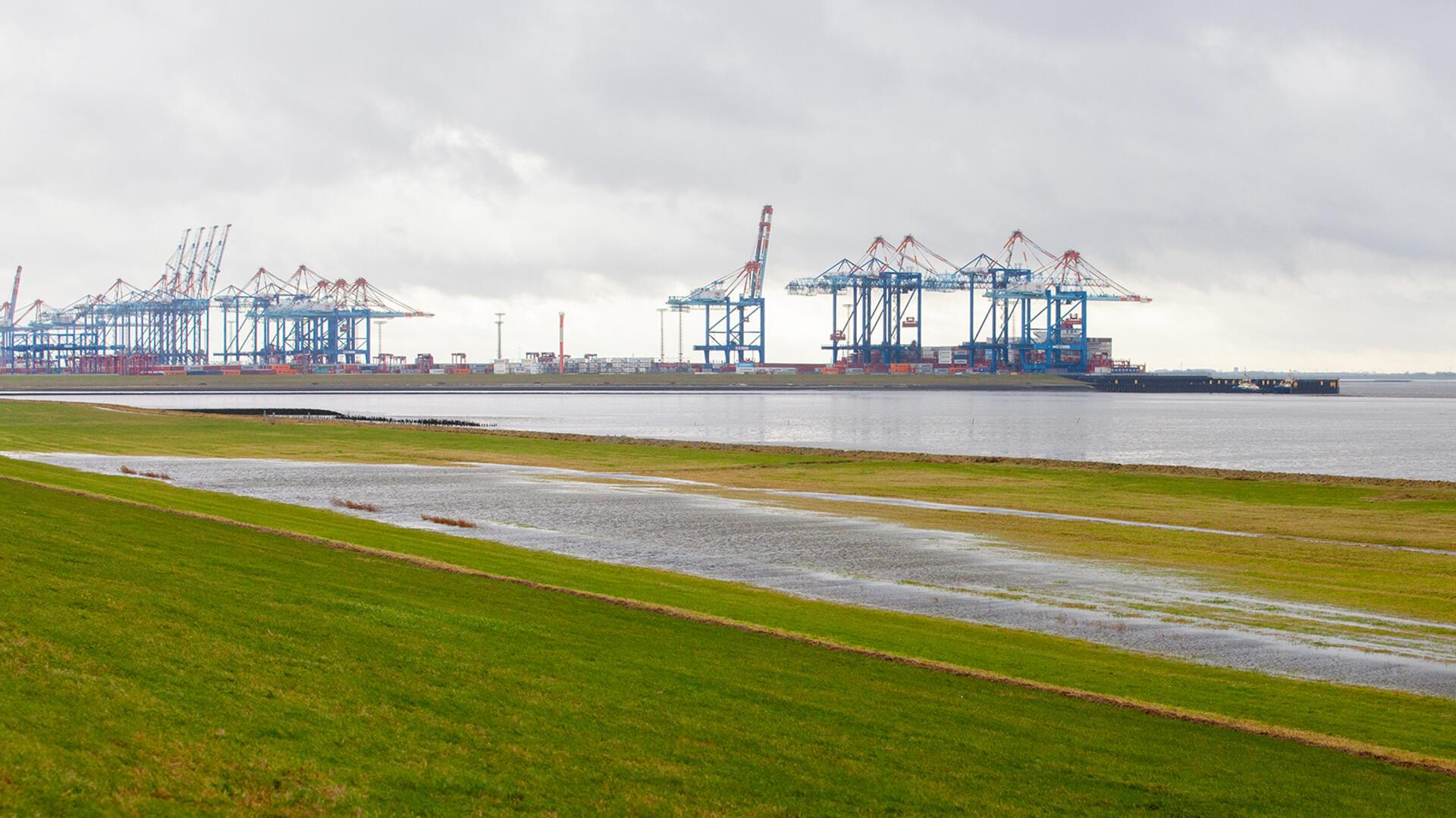 Diese Seenlandschaft (Vordergrund) im Außendeichbereich unweit des Ochsenturms ist nicht gewollt. Der Deichverband ist aufgefordert, dafür zu sorgen, dass das Wasser in die Weser abfließen kann.