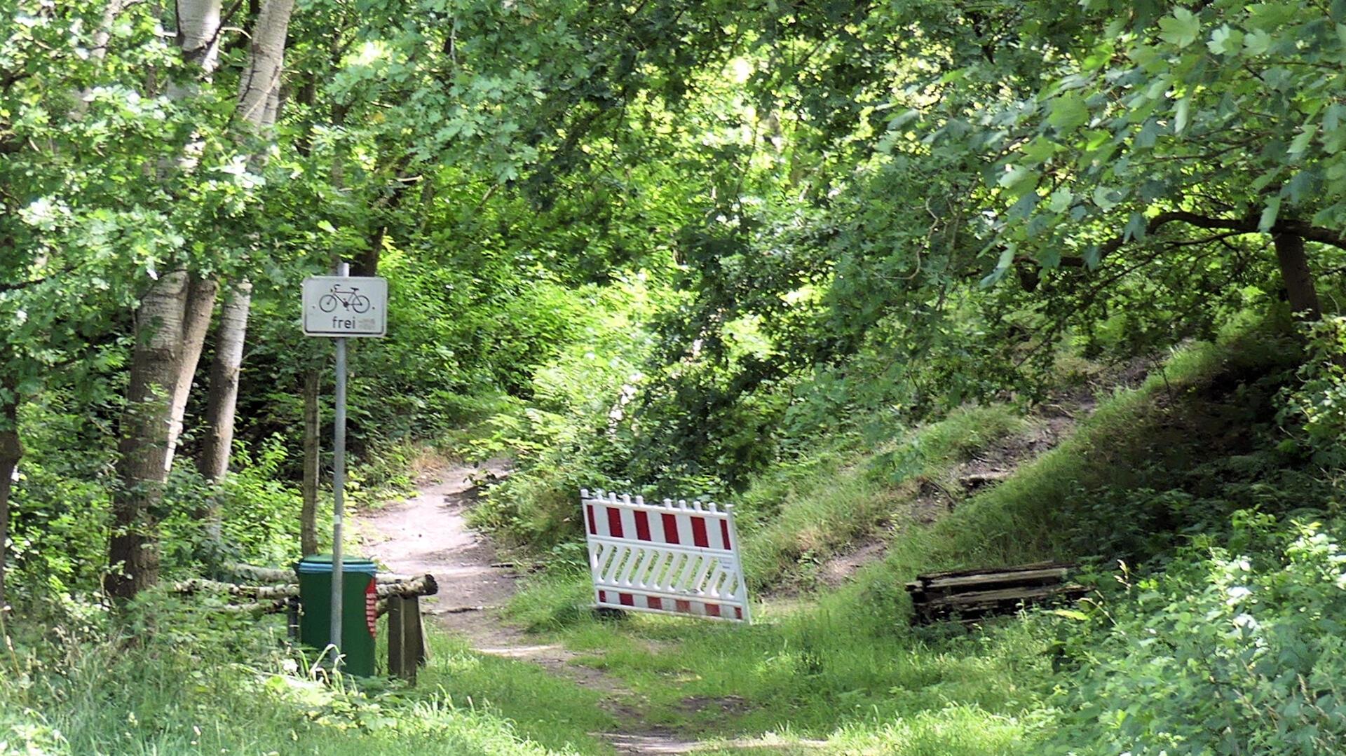 Treppenaufgang im Waldgebiet, abgesperrt mit einer rot-weißen Warnbake. Die Holztreppe ist von nassem Laub bedeckt, ein Geländer liegt beschädigt am Hang.