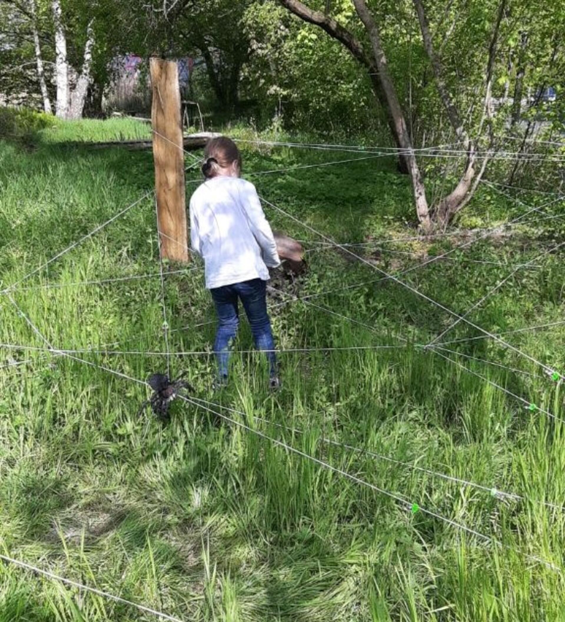 Durch ein Spinnennetz klettern – eine von vielen Möglichkeiten, die Natur aus einer anderen Perspektive zu erleben.