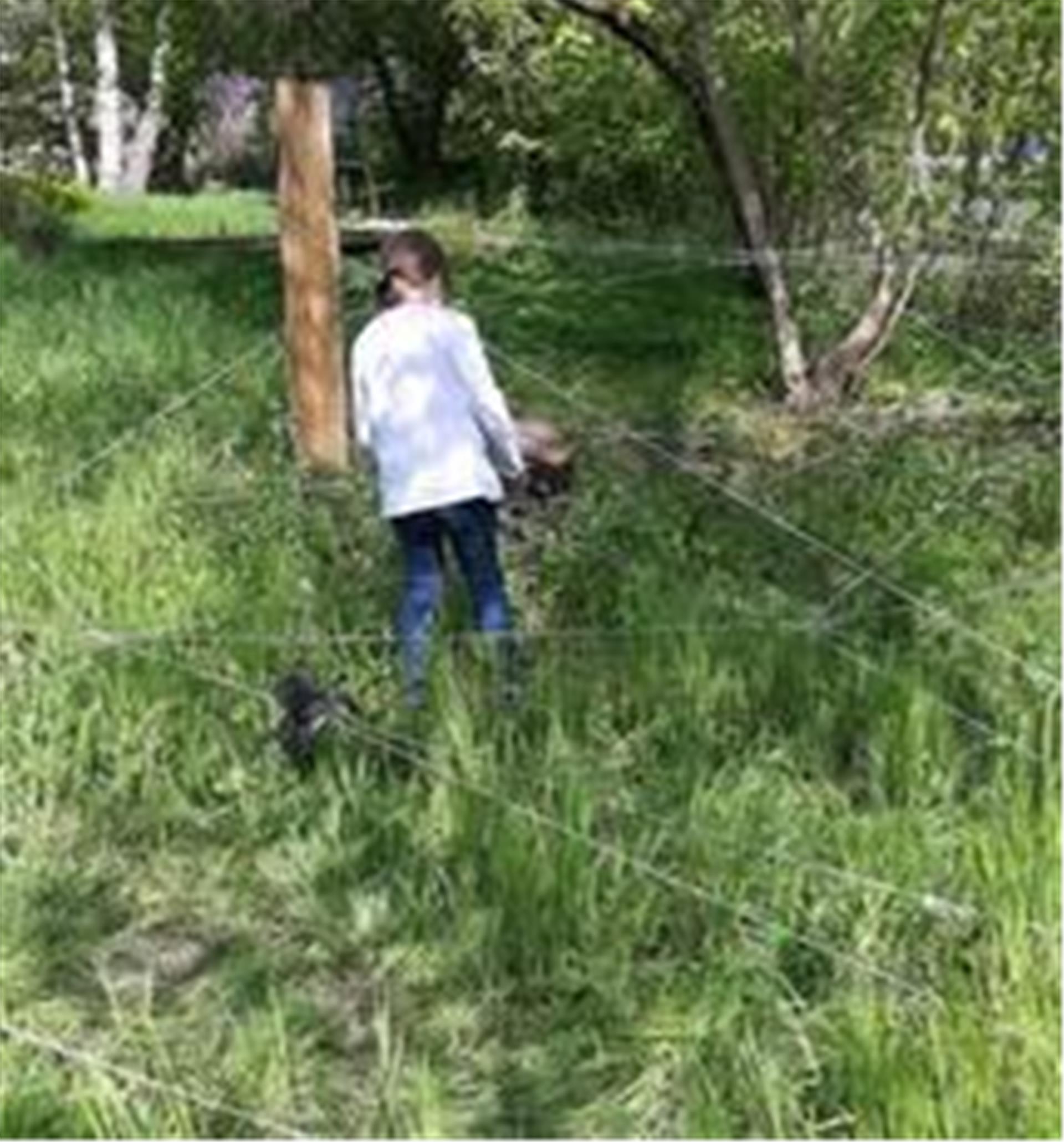 Durch ein Spinnennetz klettern – eine von vielen Möglichkeiten, die Natur aus einer anderen Perspektive zu erleben.