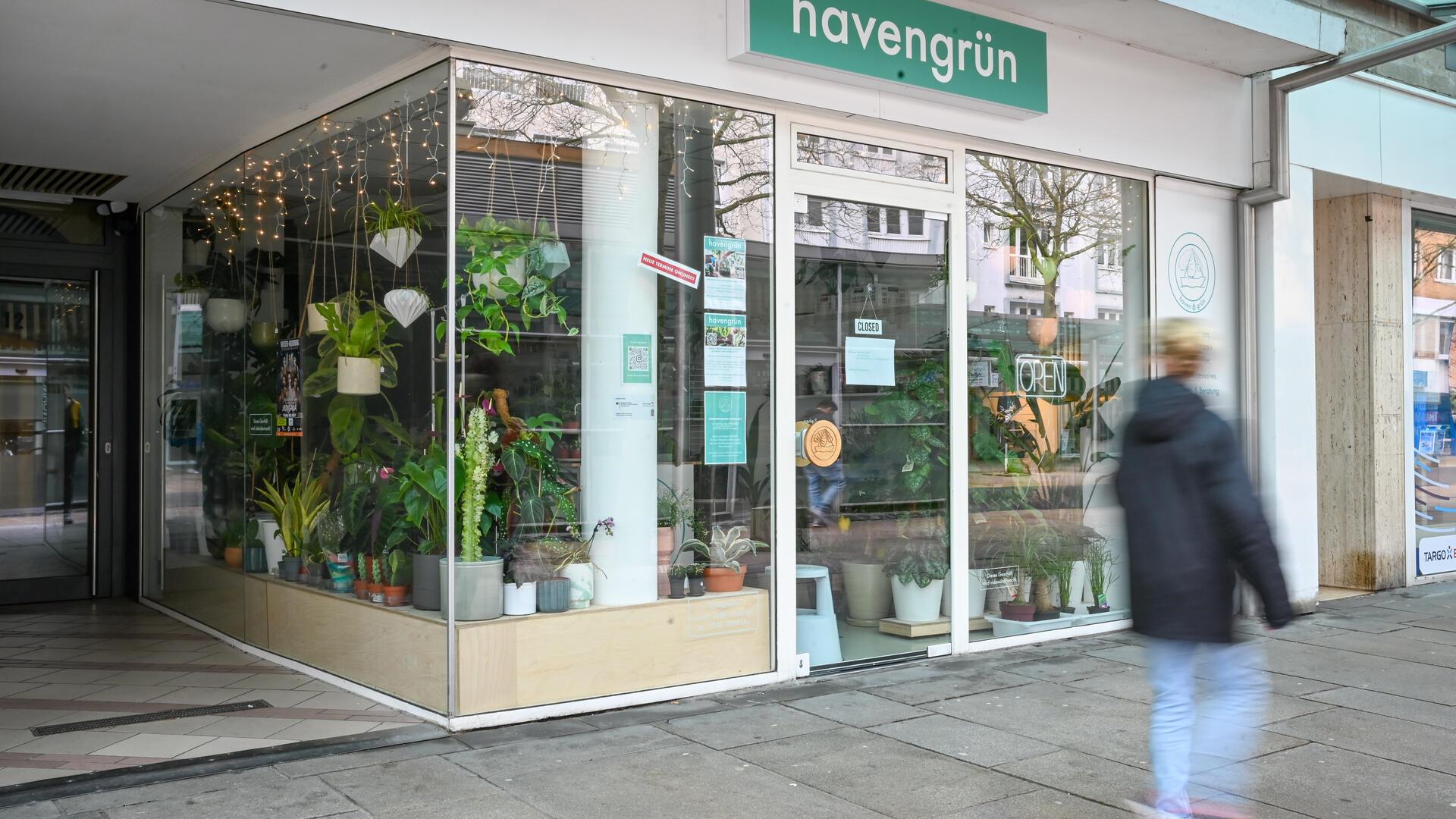 Pflanzengeschäft Havengrün