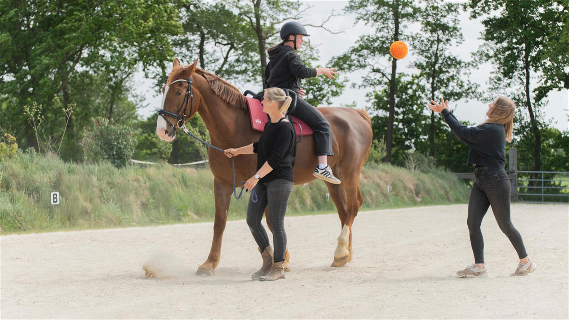 Drei Frauen sind mit einem Pferd auf dem Reitplatz und zeigen Übungen mit einem Ball