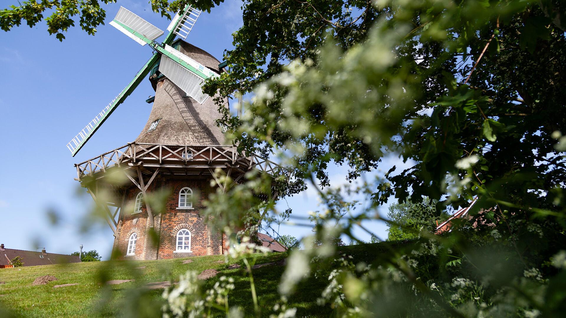 Ein echtes Schmuckstück und voll funktionsfähig: die Midlumer Mühle im Landkreis Cuxhaven.