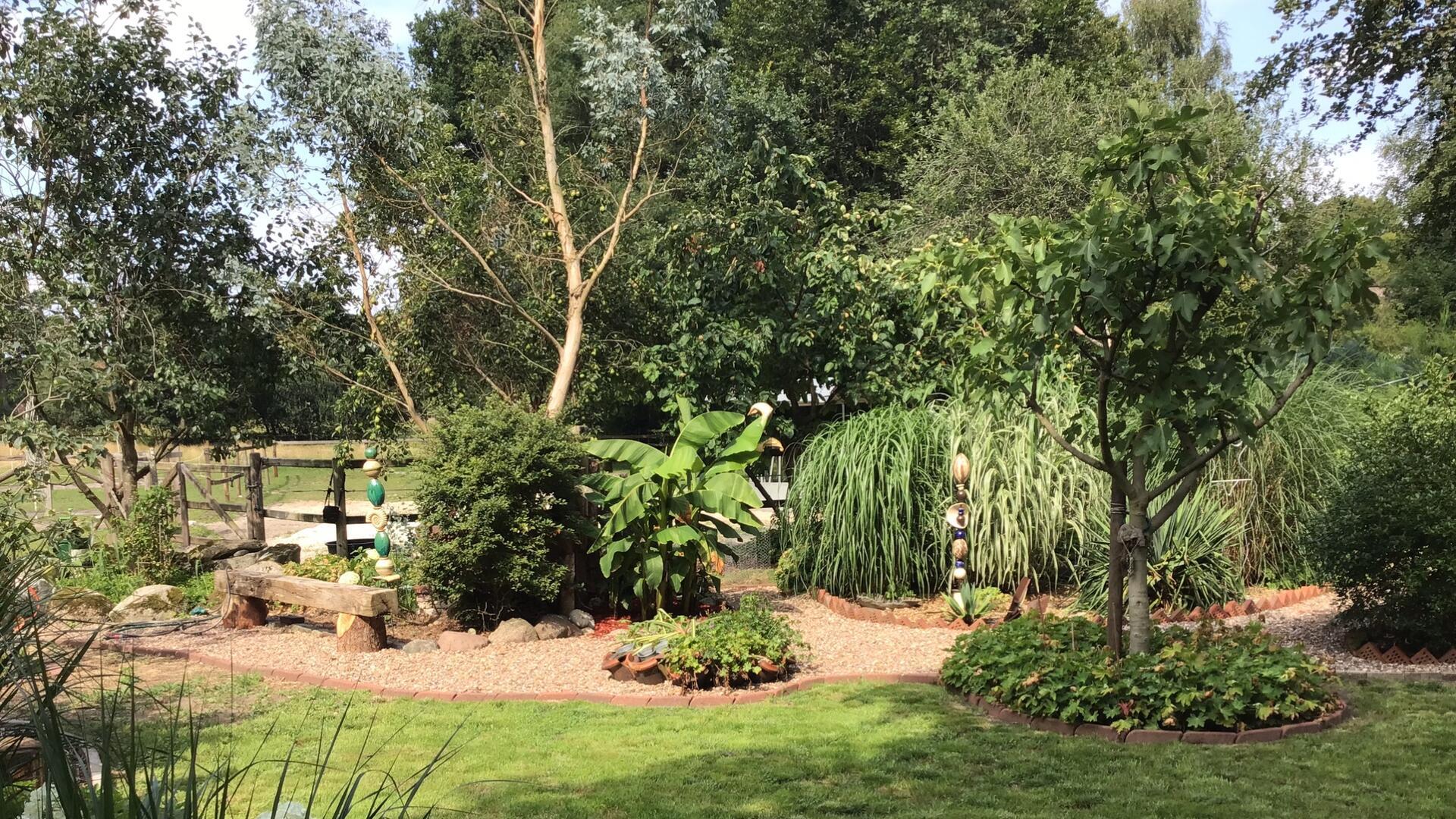 Ein exotischer Natur-Garten erwartet die Besucher in Hassendorf. Der Garten ist barrierearm.