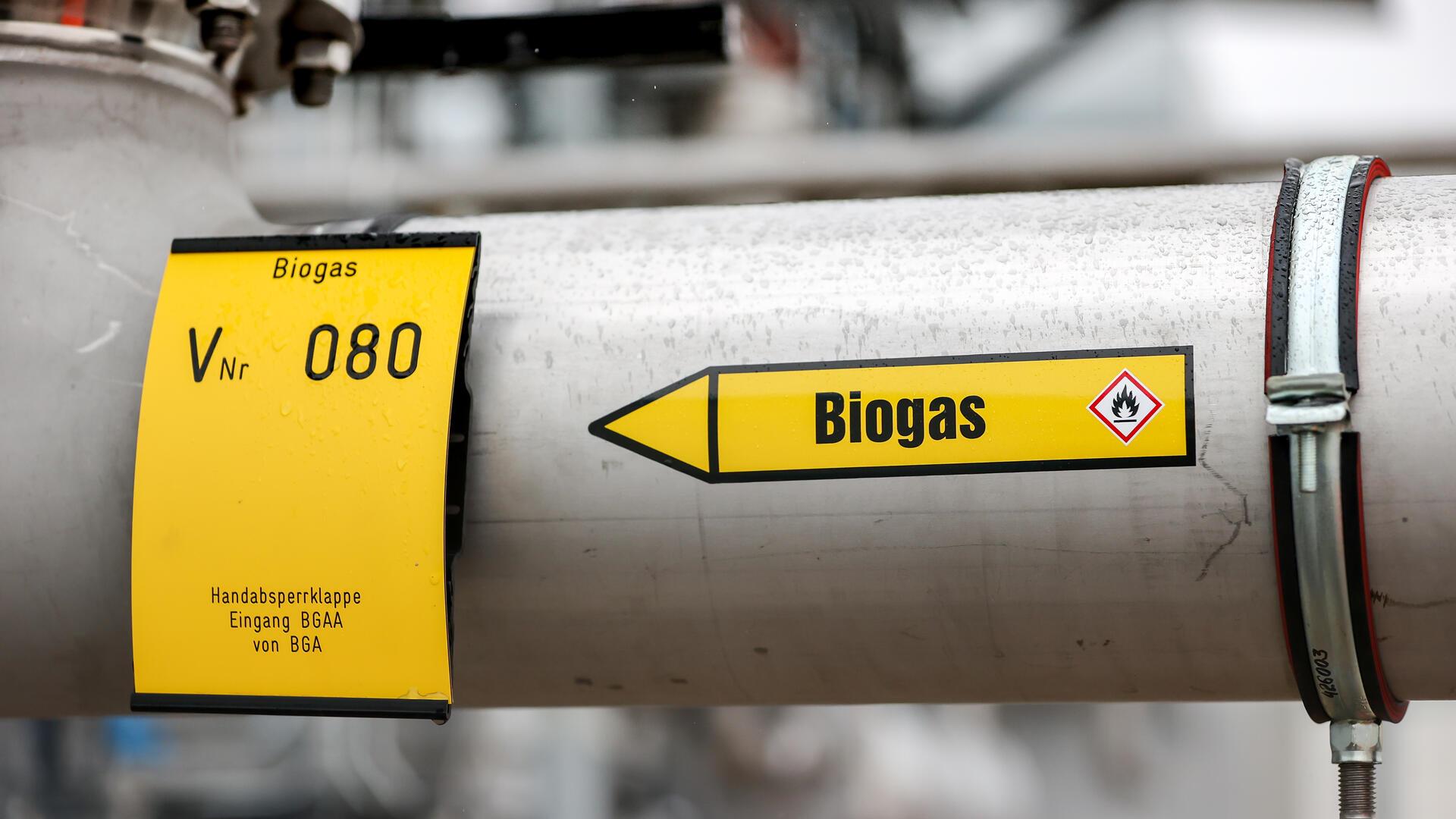 Biogasleitung.