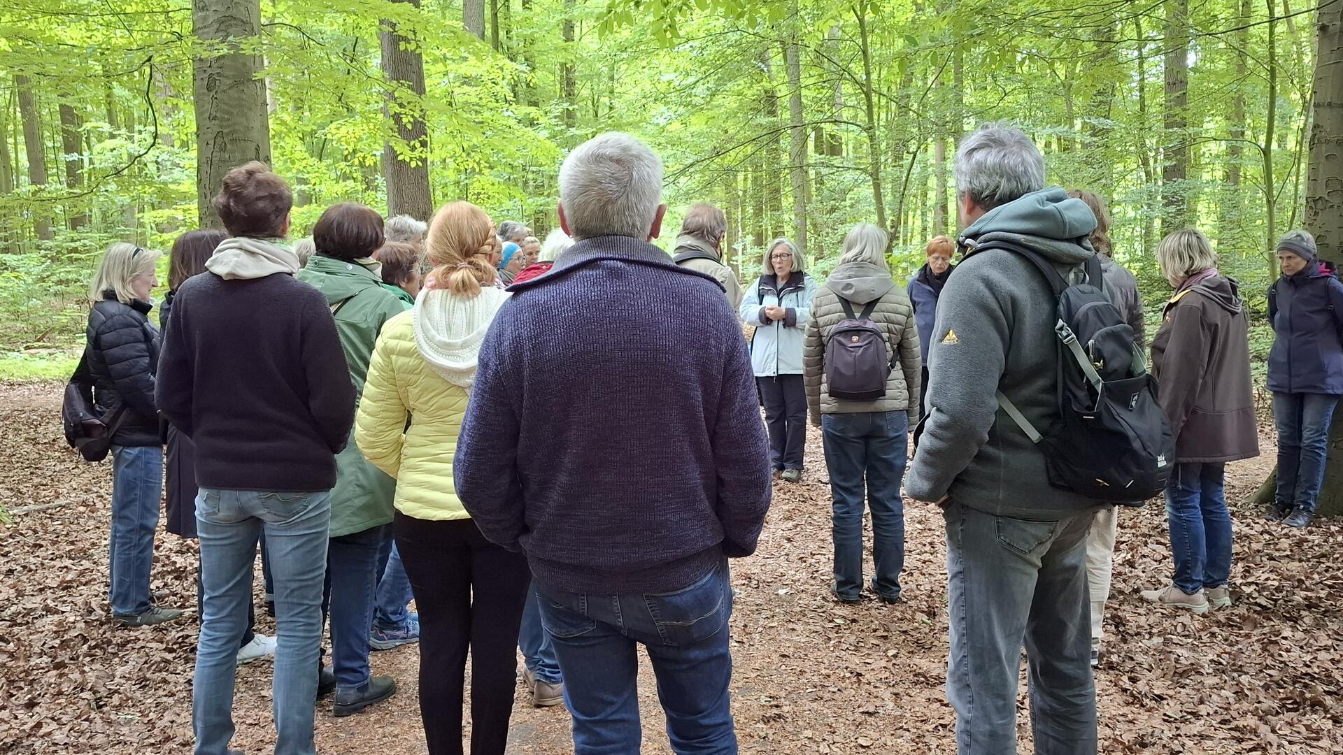 Eine Gruppe des Wandervereins Vörderland war zu Gast im Wasserwerkswald in Bremerhaven. 