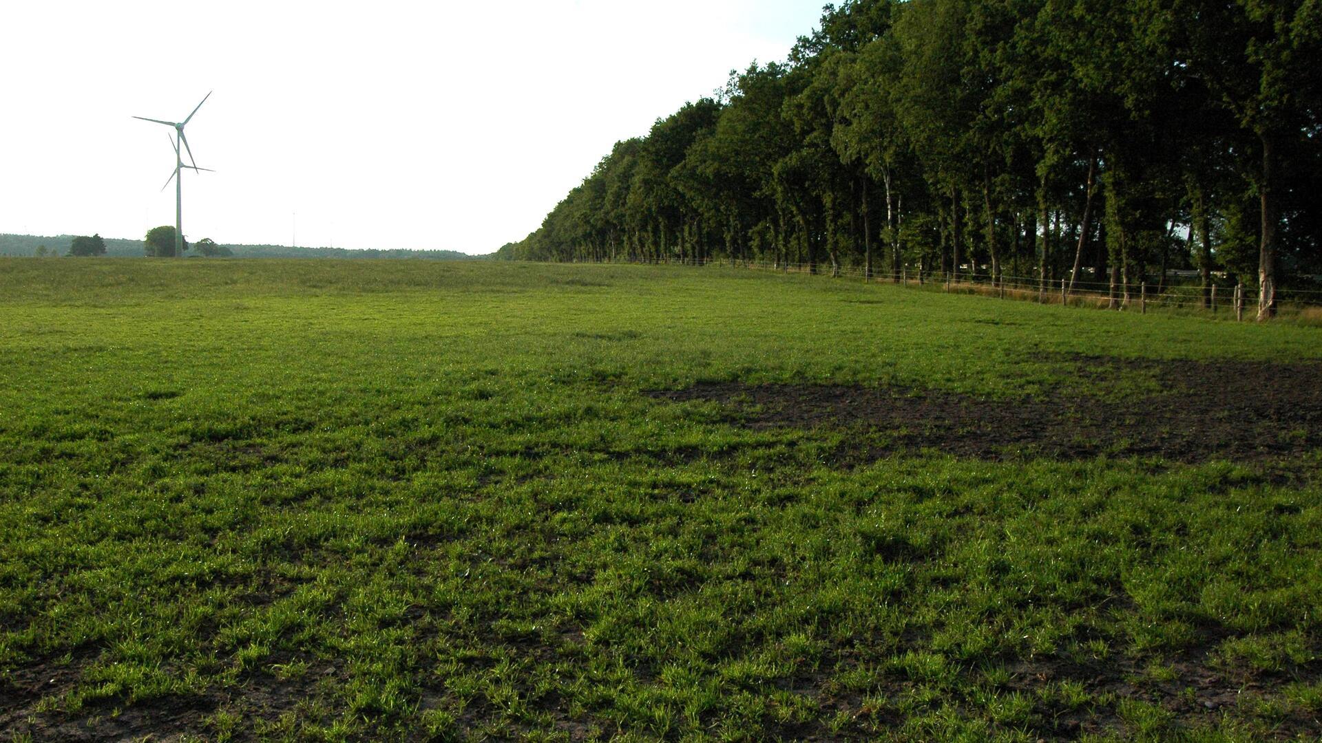 Eine der ausgewählten Potenzialflächen für Freiflächen-Photovoltaik am Selsinger Ortsrand nahe der B 71 und der Gemarkung Deinstedt