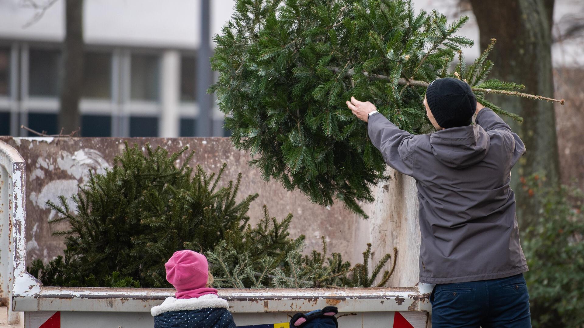 Ein Mann wirft einen Weihnachtsbaum in einen Container. 