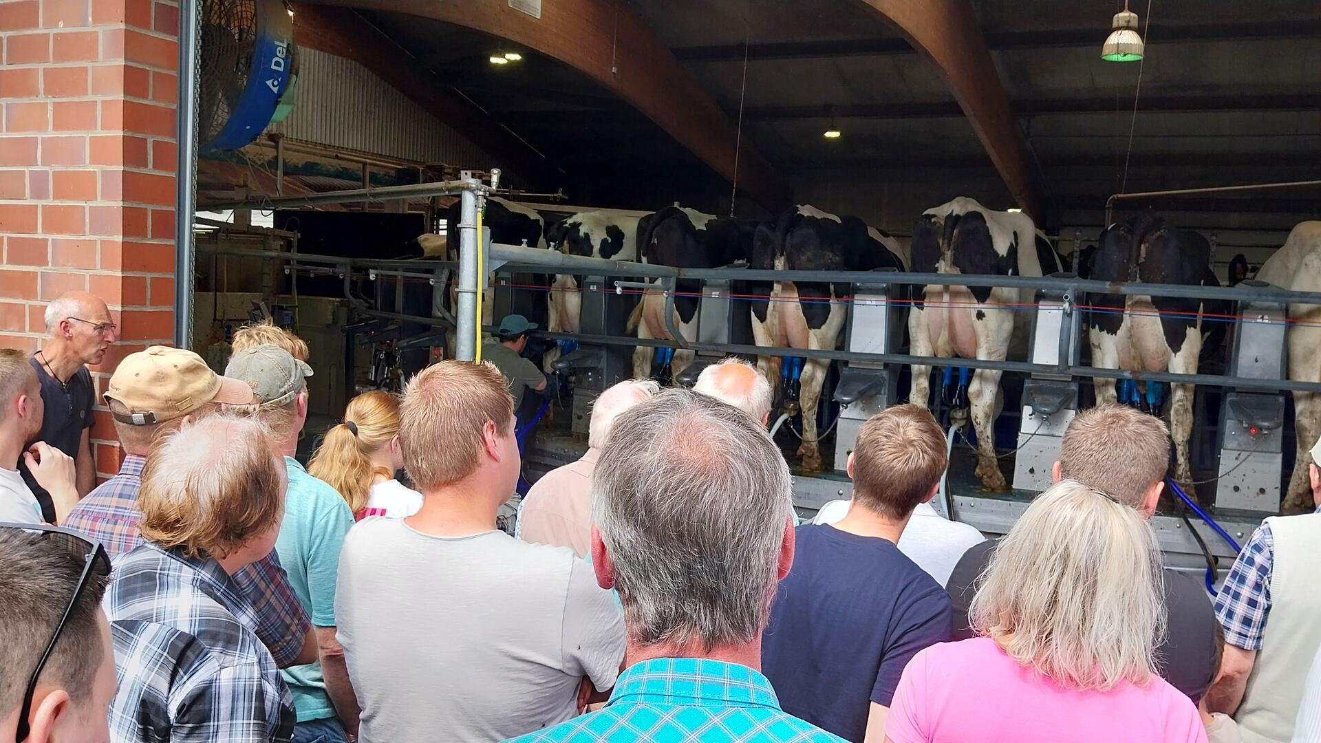 Es gab interessante Einblicke in die moderne Melktechnik des Hollener Milchviehbetriebes.