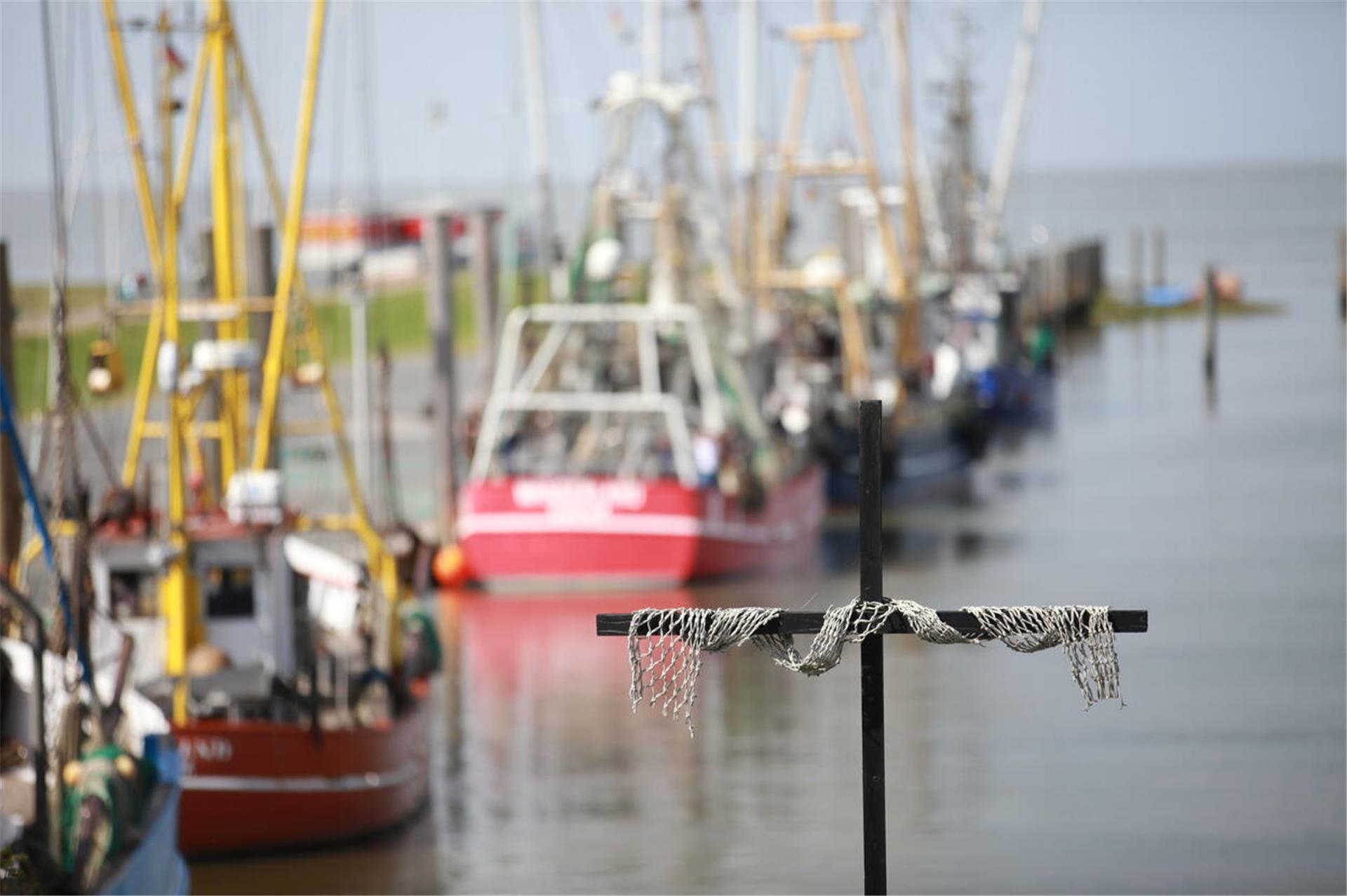 Exodus für die Krabbenfischerei? Die Kutterfischer an der Wurster Küste – hier im Hafen von Dorum-Neufeld – sehen schwarz, falls das aufgeschobene Fangverbot mit Grundschleppnetzen ab 2030 kommen sollte.