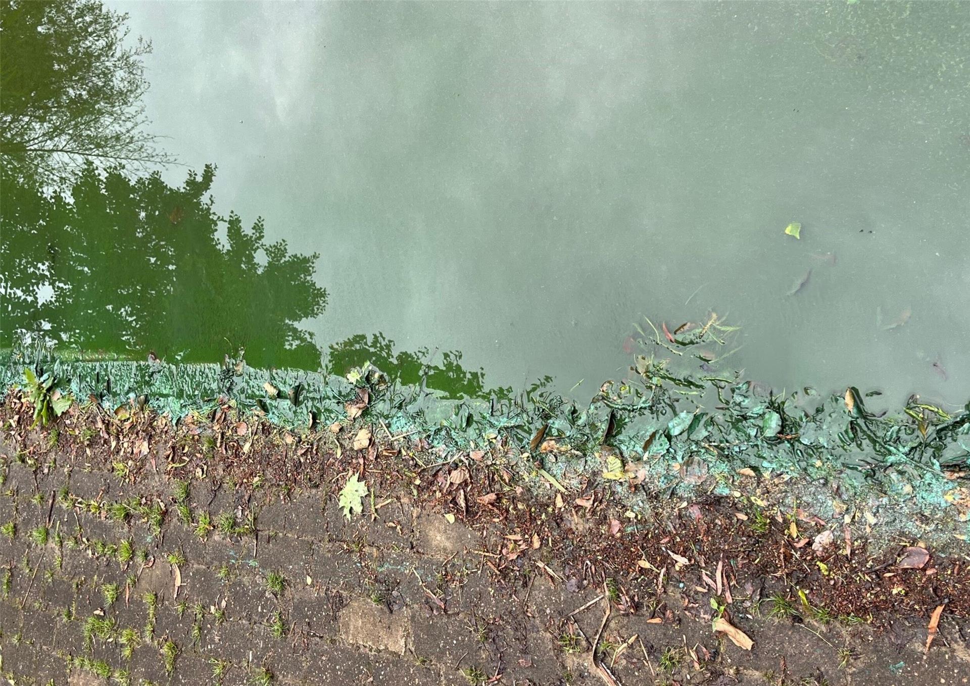Für den Vörder See besteht ab sofort wieder eine Warnung vor Blaualgen. 