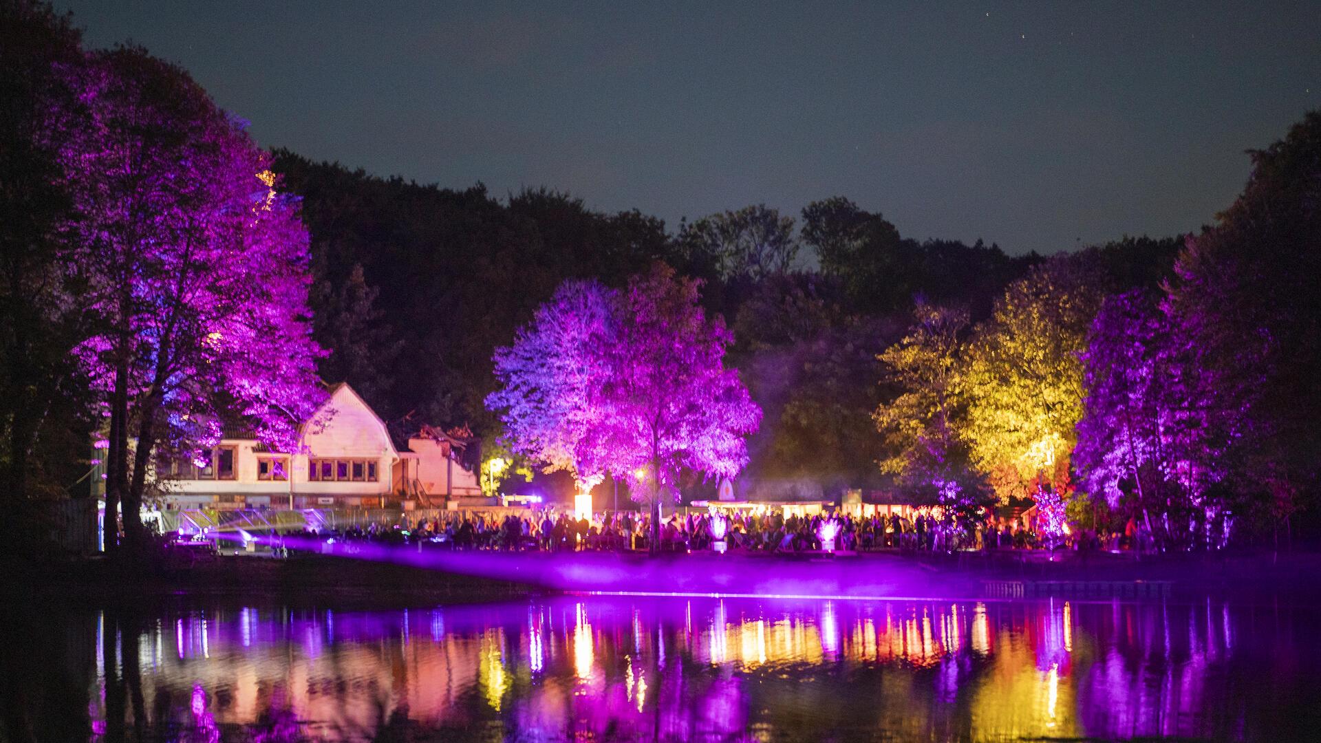 Der Wald in Speckenbüttel ist mit bunten Lichtern hell erleuchtet.