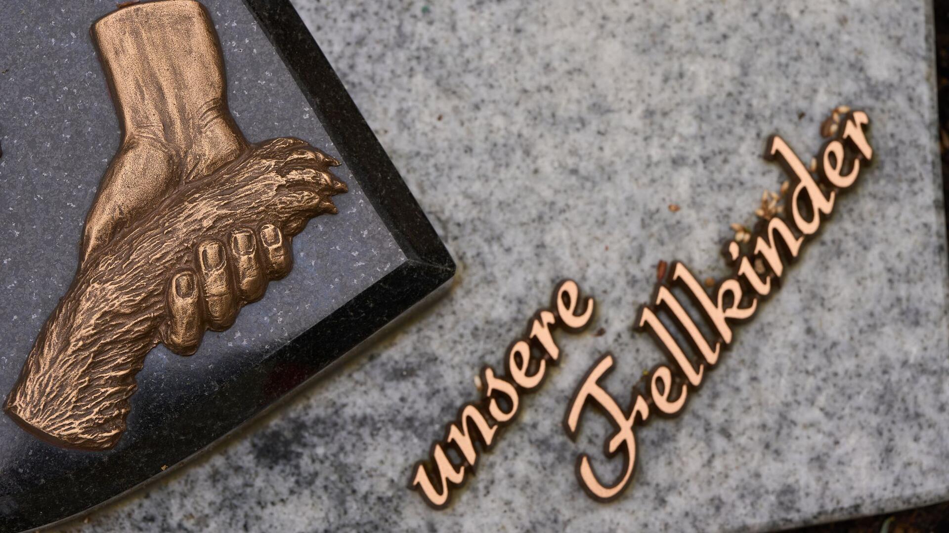 Gemeinsame Bestattung von Mensch und Haustier: Bremen schafft neue Möglichkeiten für letzte Ruhestätten, die Mensch und Tier auch im Tod verbinden.