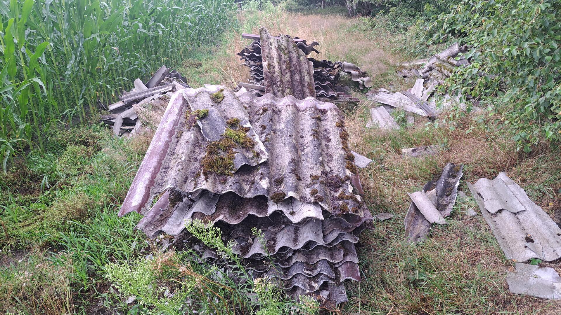 Wellenförmige alte Dachplatten liegen neben einem Maisacker.