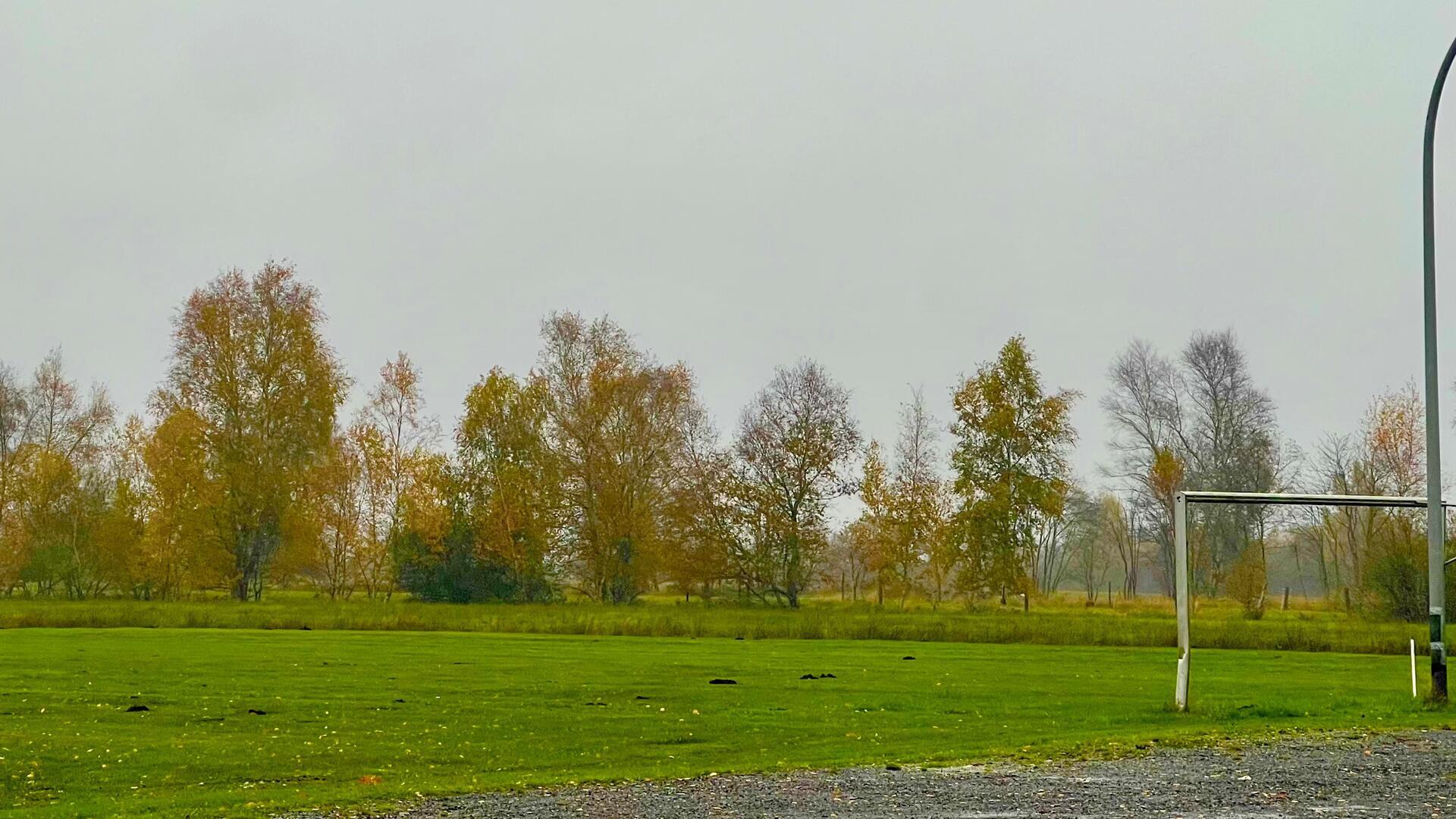 Nach illegaler Sprengfalle - Findorfer Familie bleibt auf hohen Kosten sitzen Illegal installierte Wühlmaus-Fallen auf dem Findorfer Bolzplatz wurden im Sommer 2023 einem damals achtjährigen Jungen zum Verhängnis.