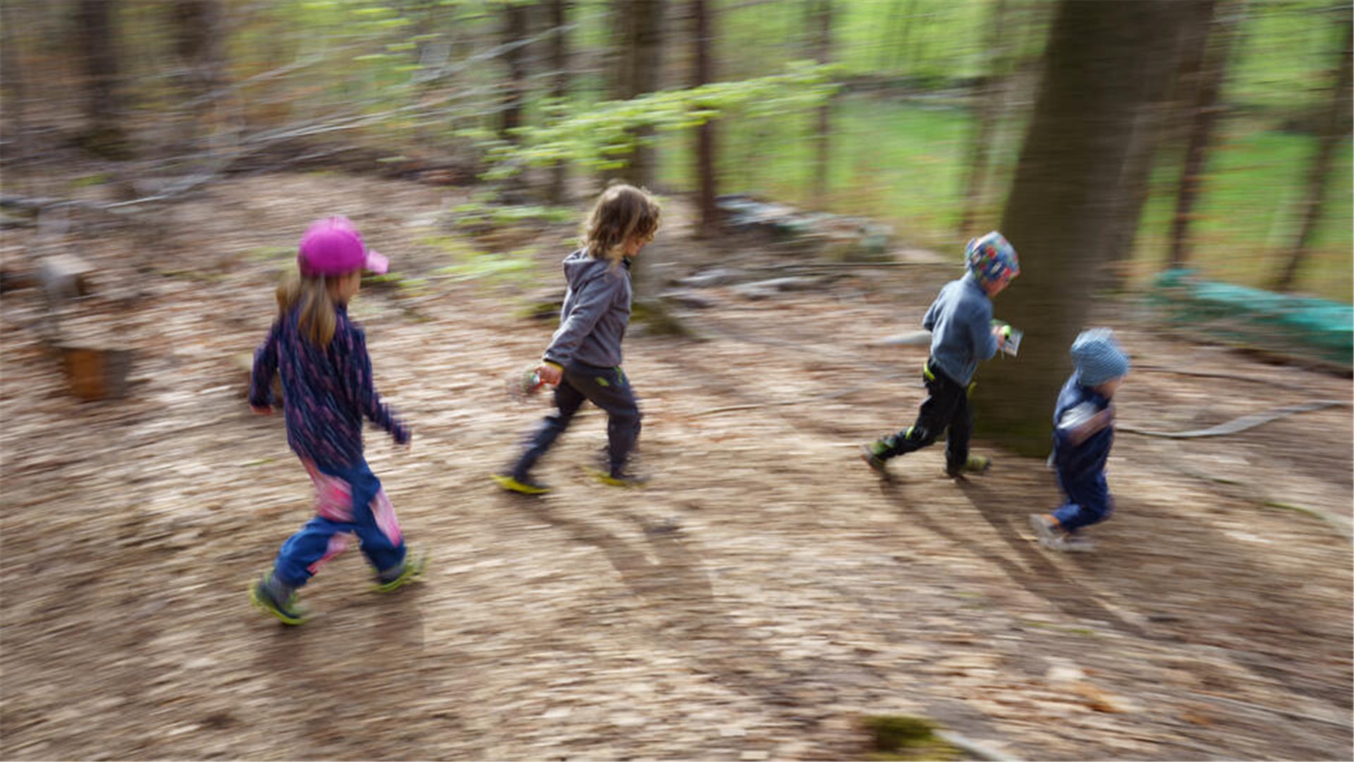 Vier Kinder rennen durch den Wald.