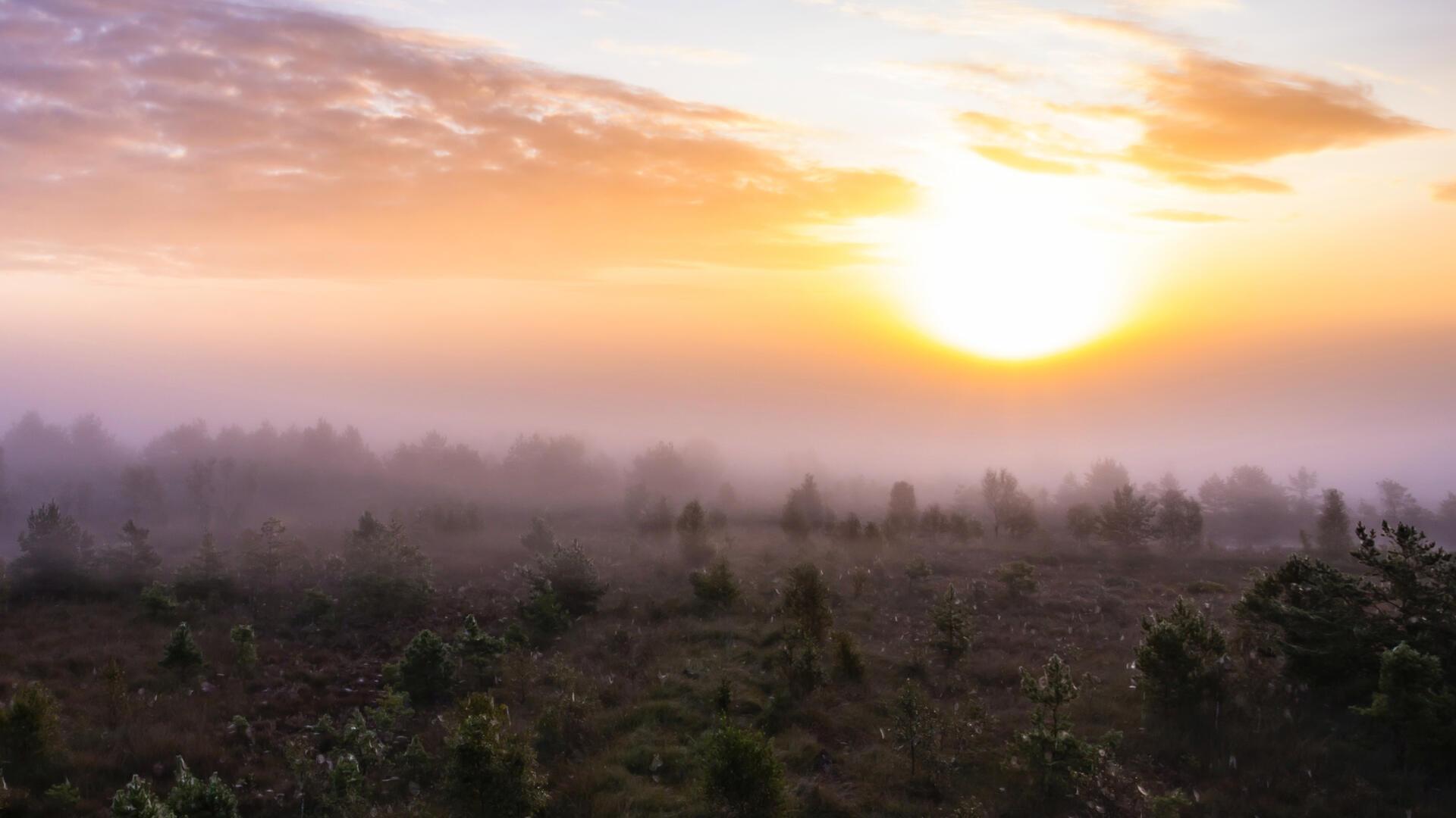 Blick auf eine Landschaft im Nebel.