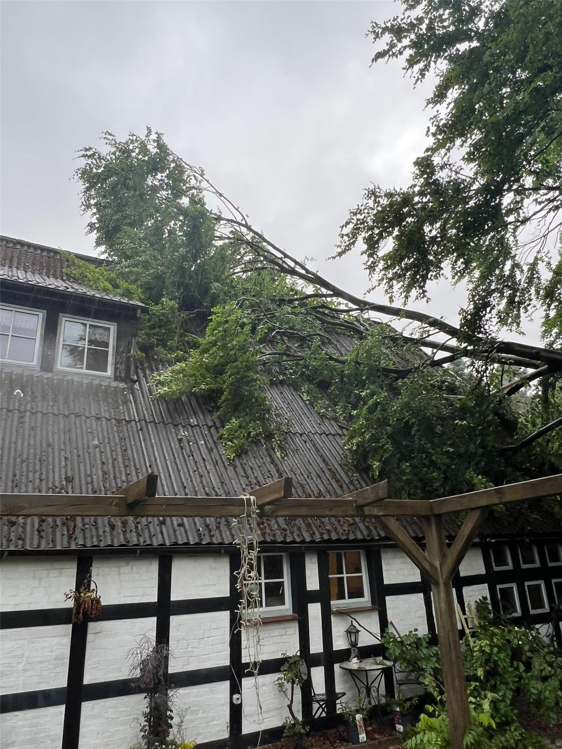 Im Ortsteil Neu Kuhstedt stürzte der Baum auf das Dach eines Wohnhauses.