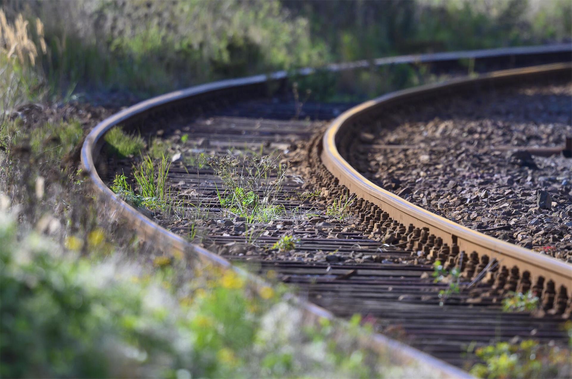 Einfach Einsteigen: Neue Studie zur Reaktivierung von Bahnstrecken Unkraut wächst zwischen den Gleisen auf dem Gelände eines Bahnhofs.