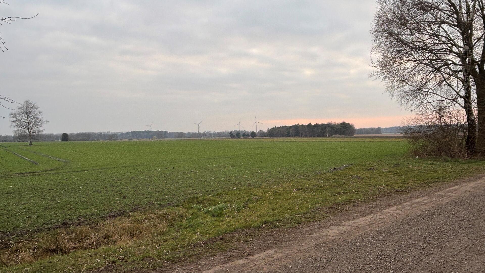 In diesem Gebiet an der Grenze zur Ortschaft Malse im Landkreis Cuxhaven soll die "Photovoltaik-Freilandanlage Basdahl Nord" entstehen. Die Planfläche im Bereich der Straße Barkhorn besteht aus zwei Teilflächen und ist 89,6 Hektar groß.