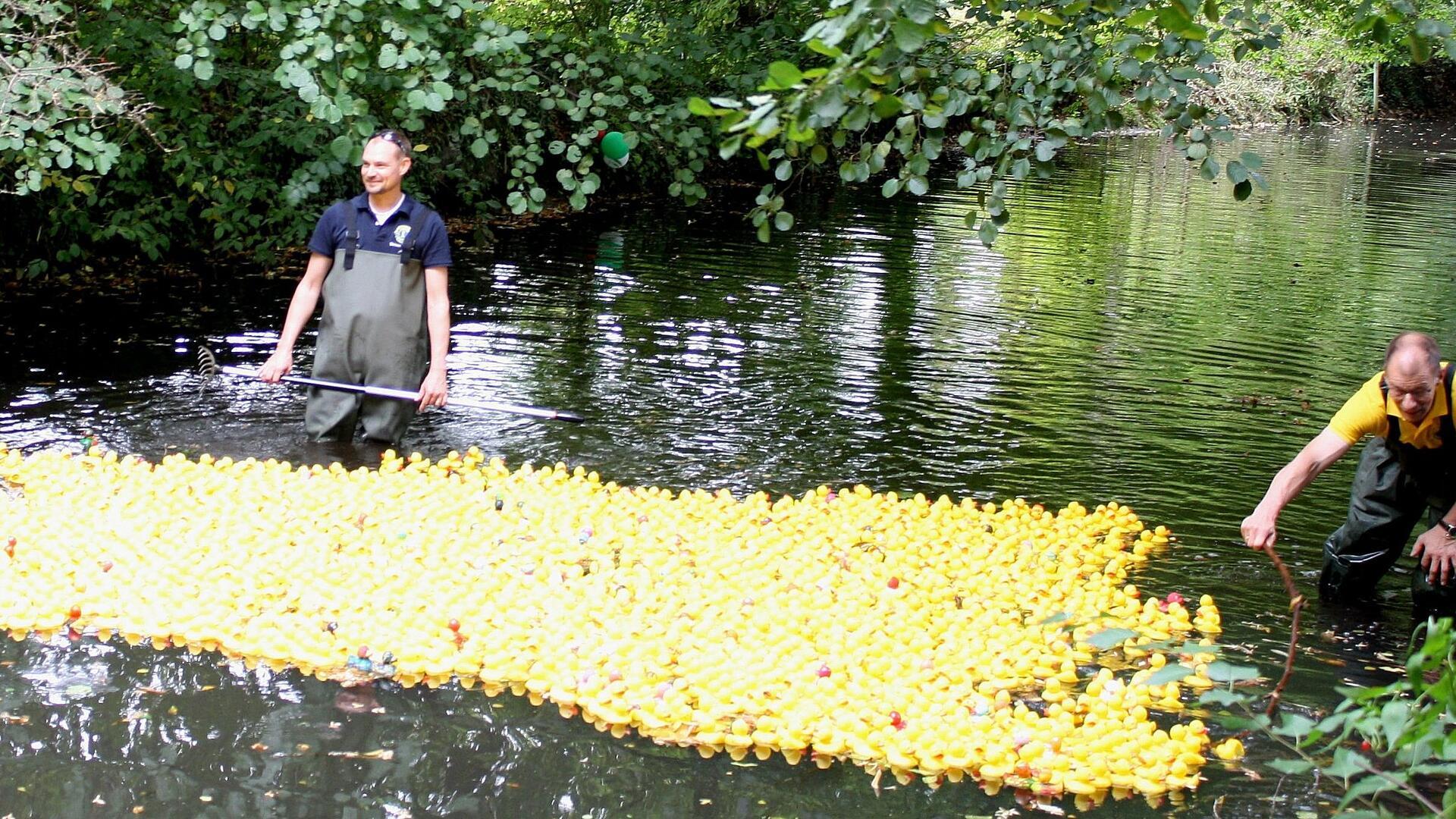 Zwei Männer stehen in Wathosen in einem Bach und halten 2000 Plastikenten auf Kurs.