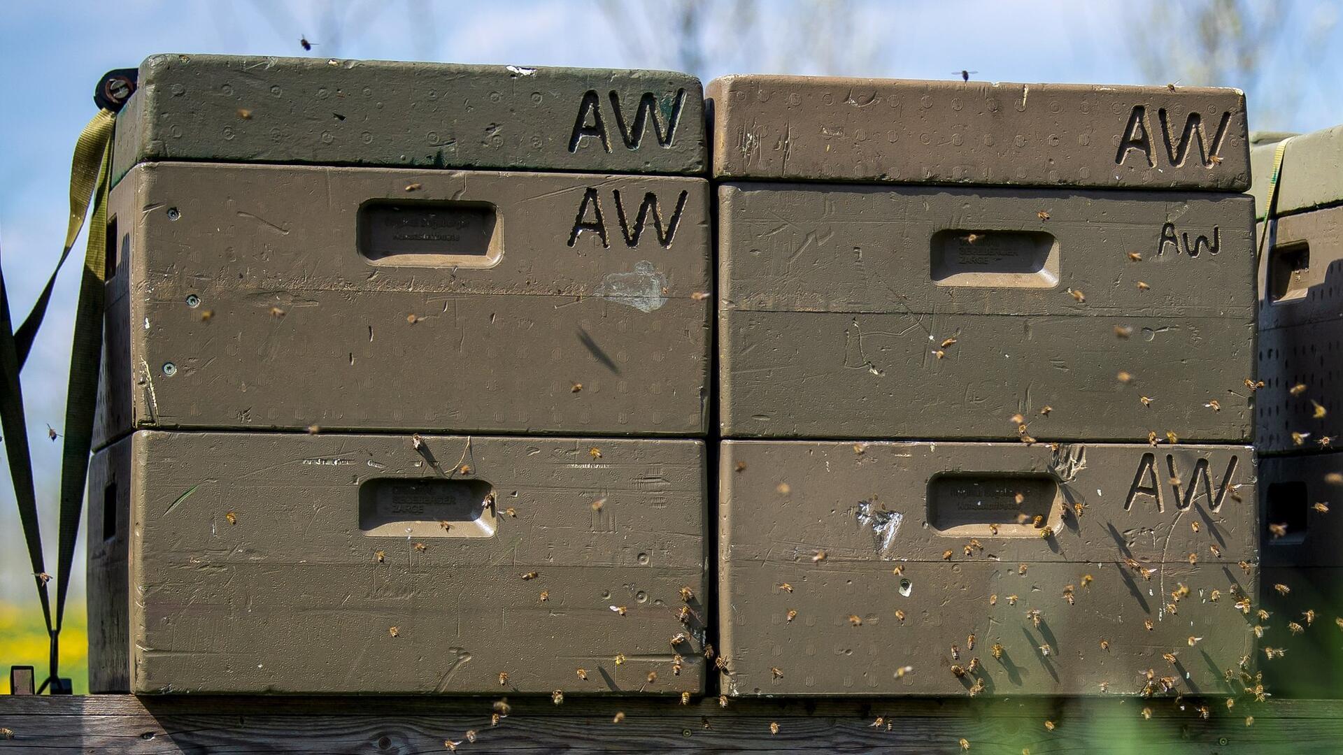 Vier braune Kästen stehen zusammen.