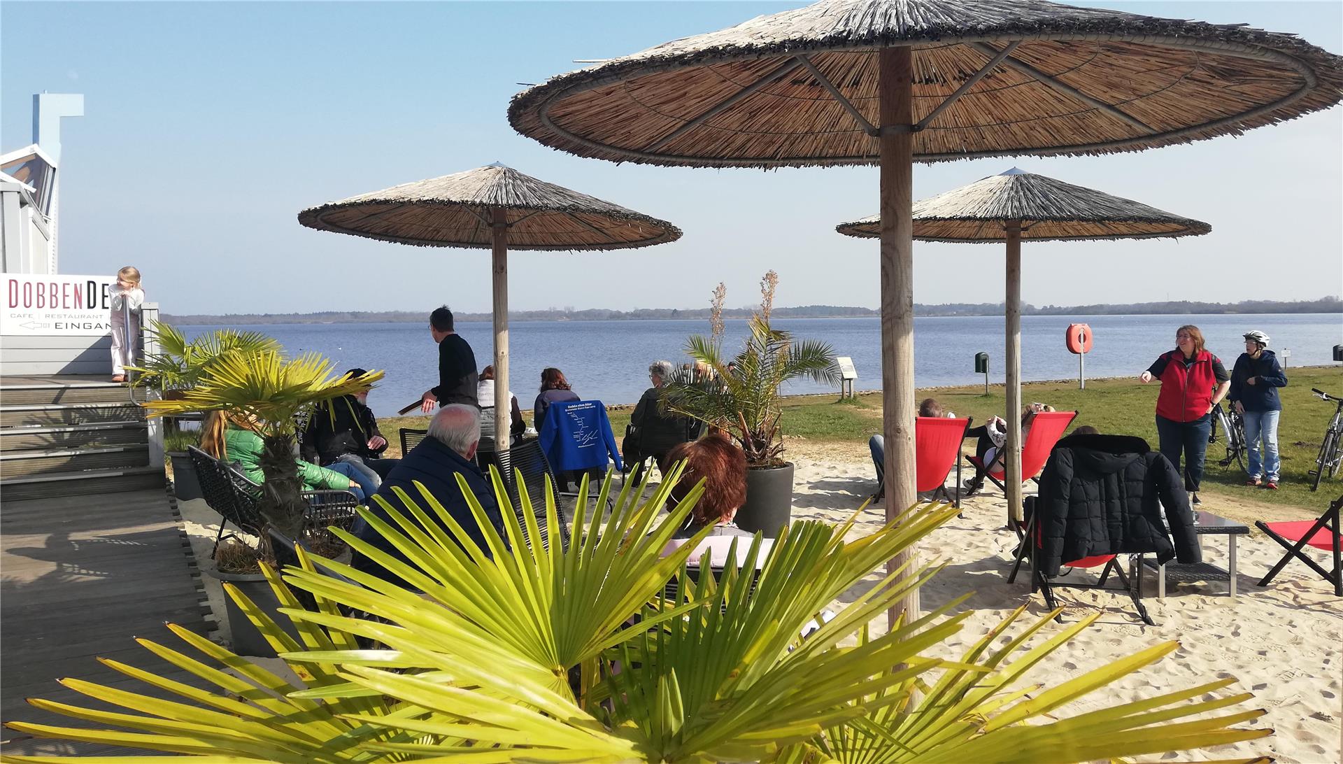 Sonnenschirme, Palme, Sand - Gastronomie Dobbendeel am Beerster See