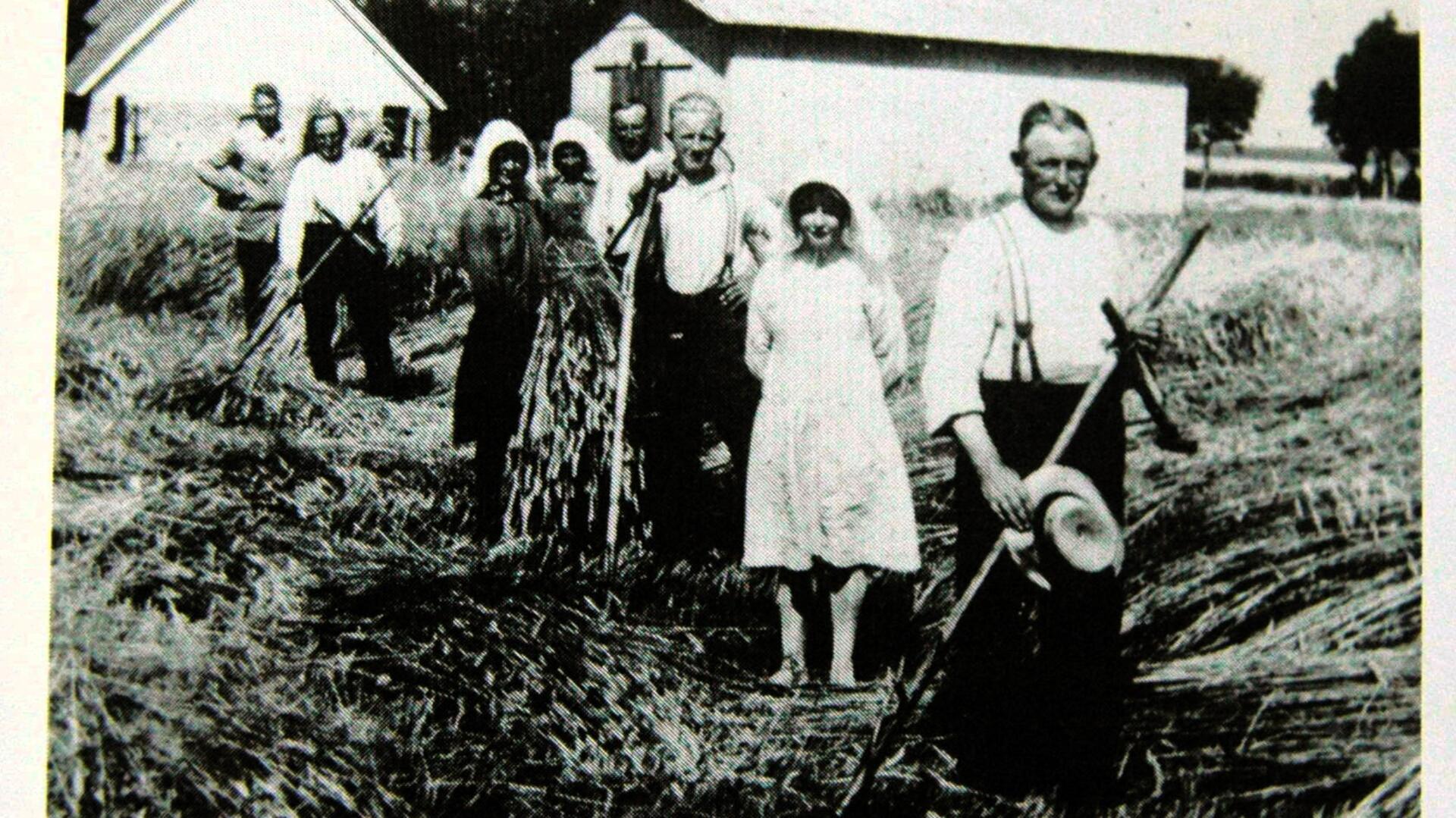 Kornernte mit der ganzen Familie 1930