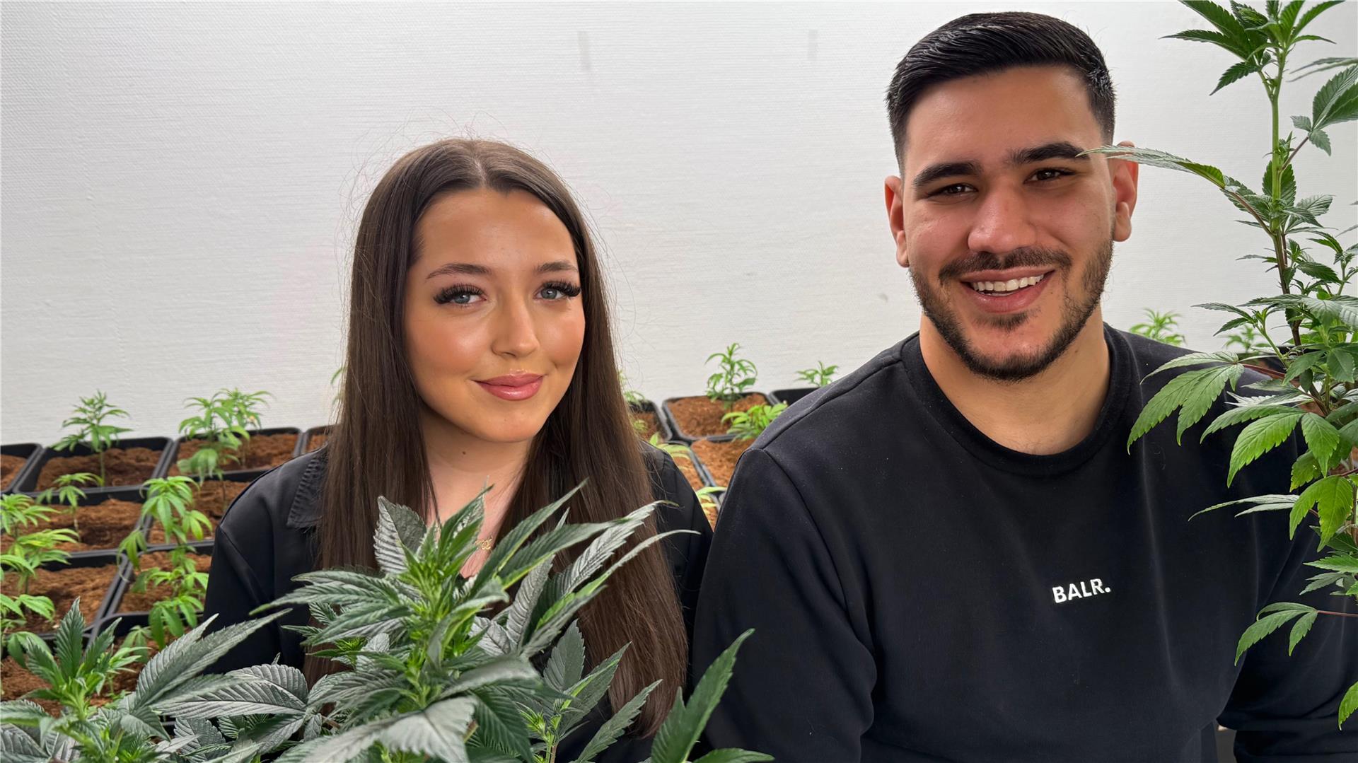 Eine Frau und ein Mann stehen zwischen Cannabispflanzen.