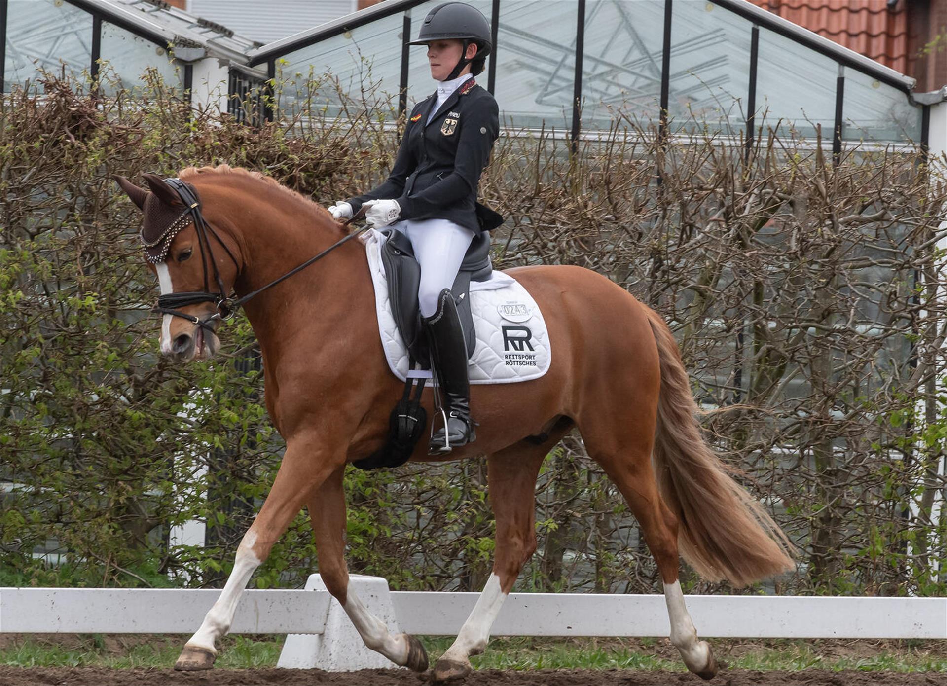 Lilli von Helldorff und Dauphring K - das Duo vom Reitverein Zeven belegte in der Qualifikation zum Bundeschampionat einen sehr guten zweiten Platz.