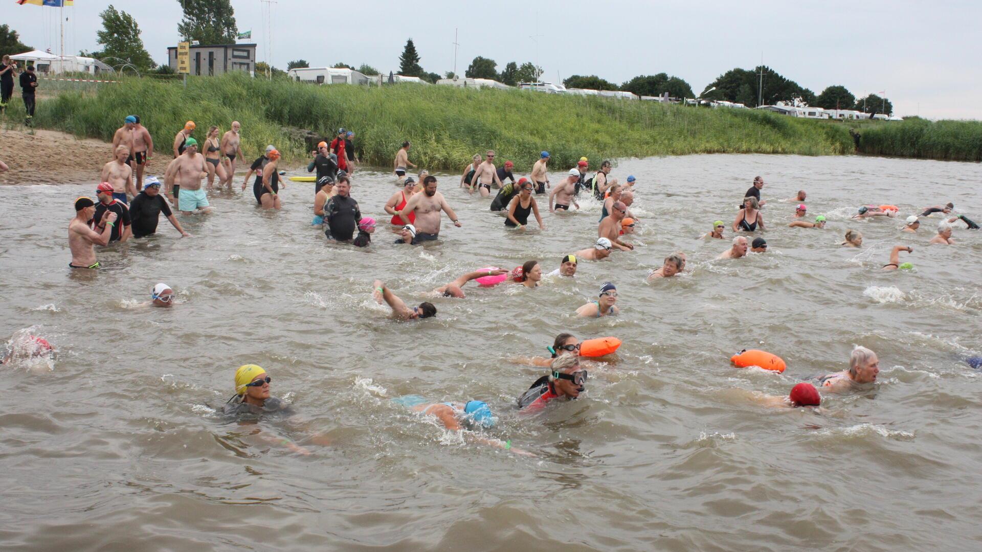 Schwimmer in der Weser